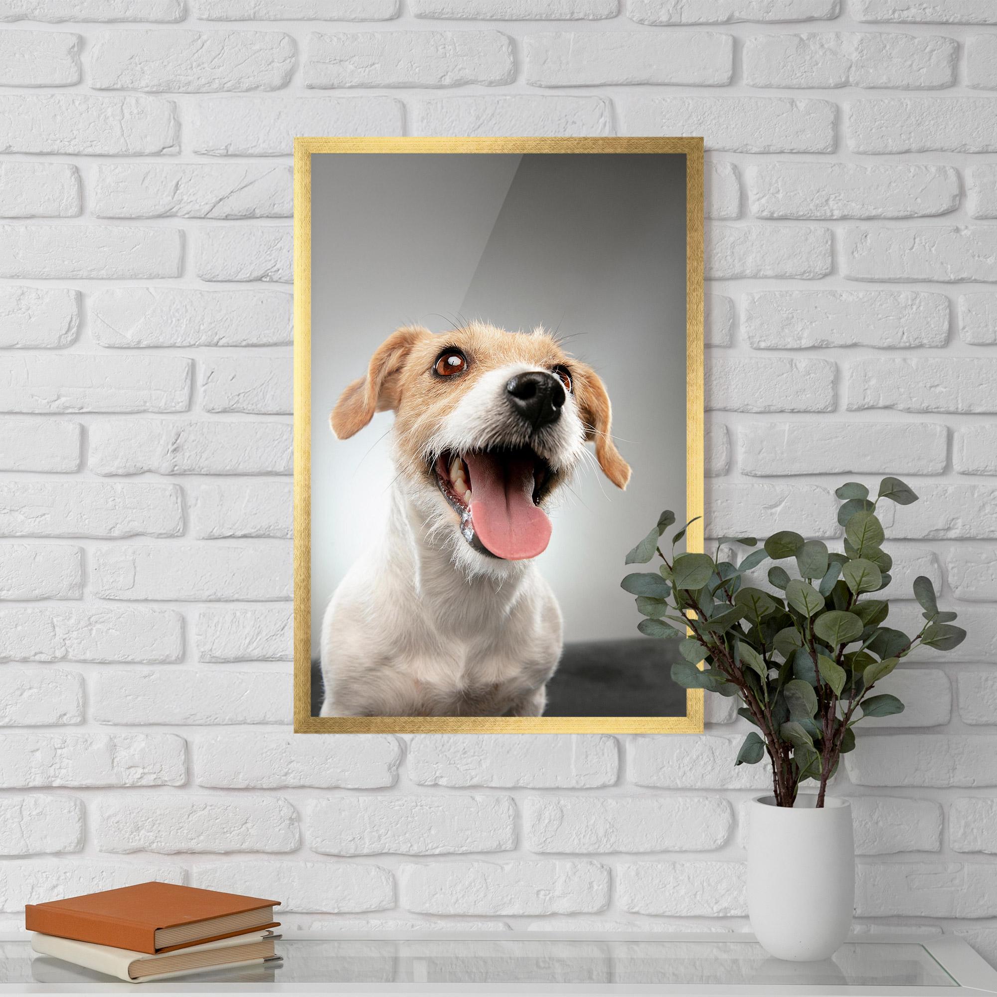 Keretezett Poszter Jack Russell Terrier mockup 5