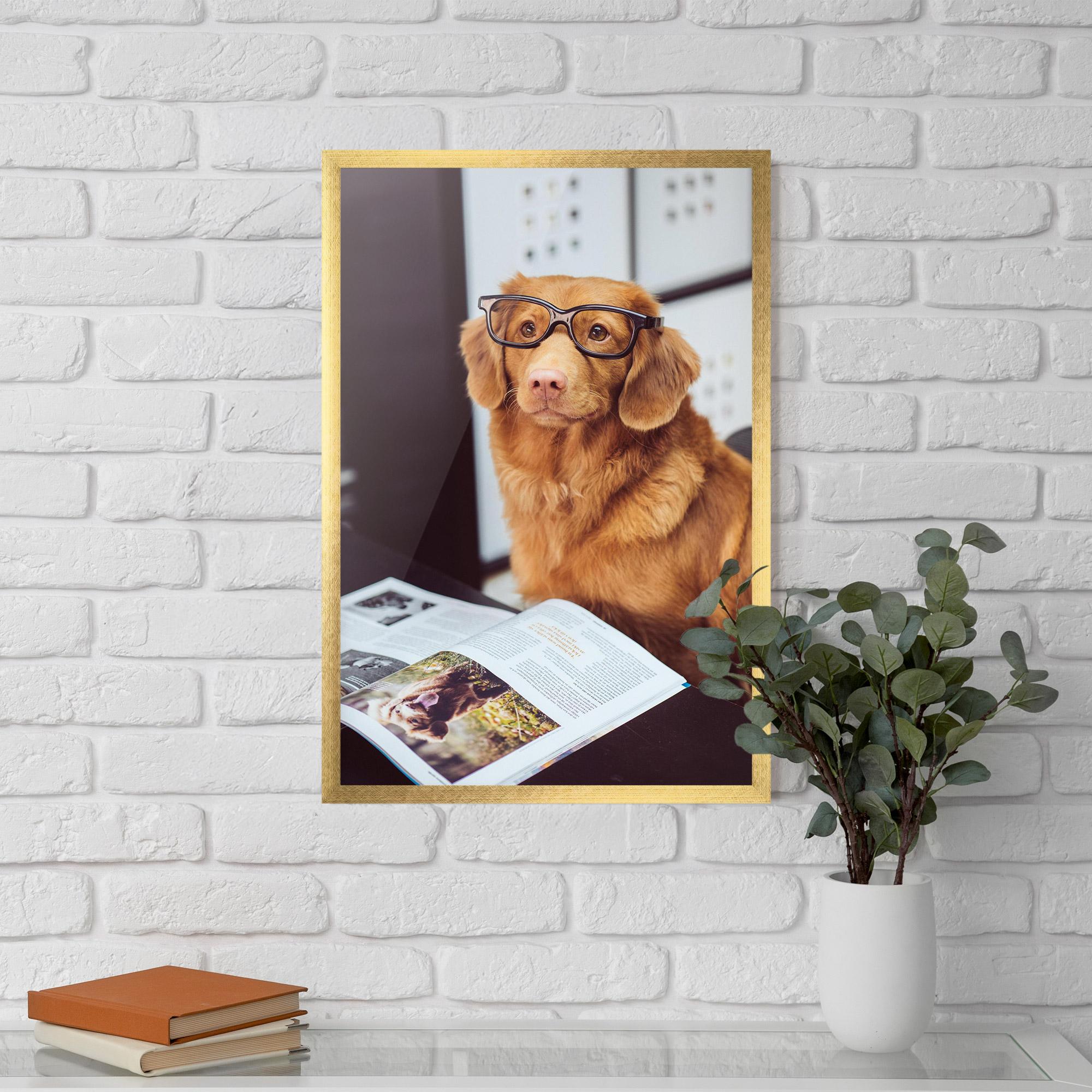 Keretezett Poszter Learning Dog mockup 5
