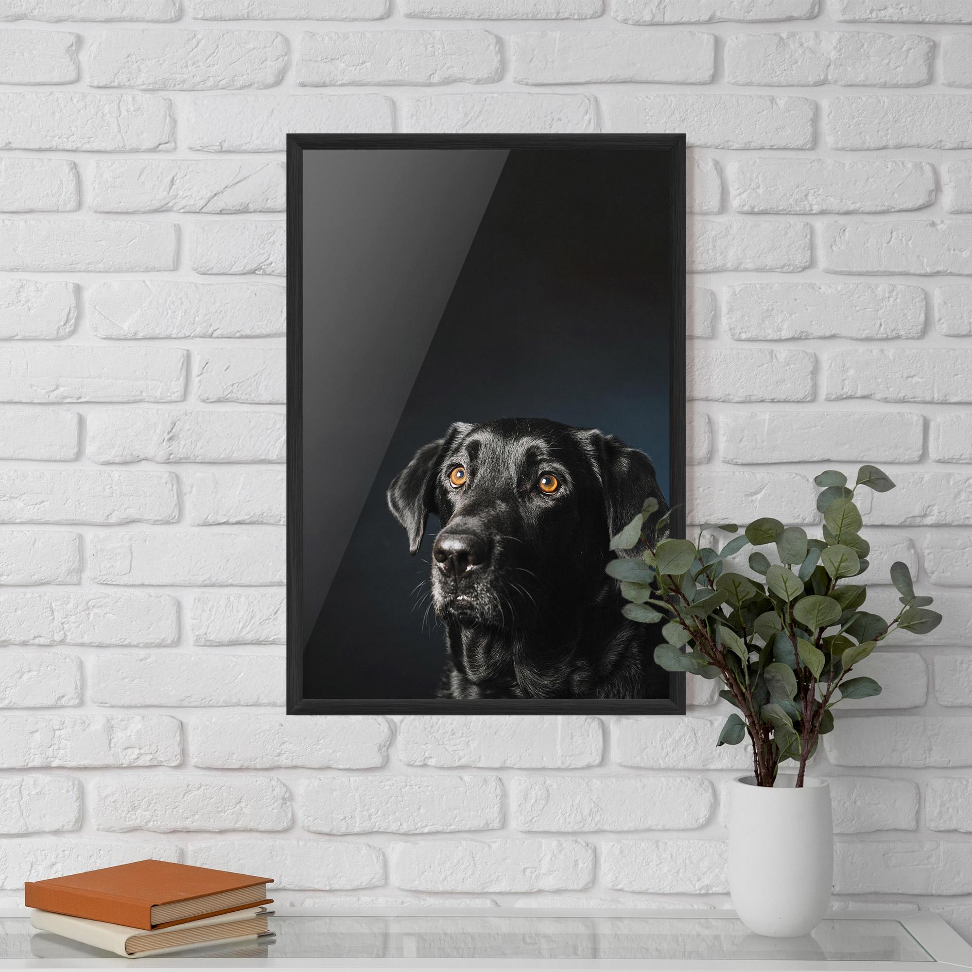 Keretezett Poszter Brown Eyes Dog mockup 5