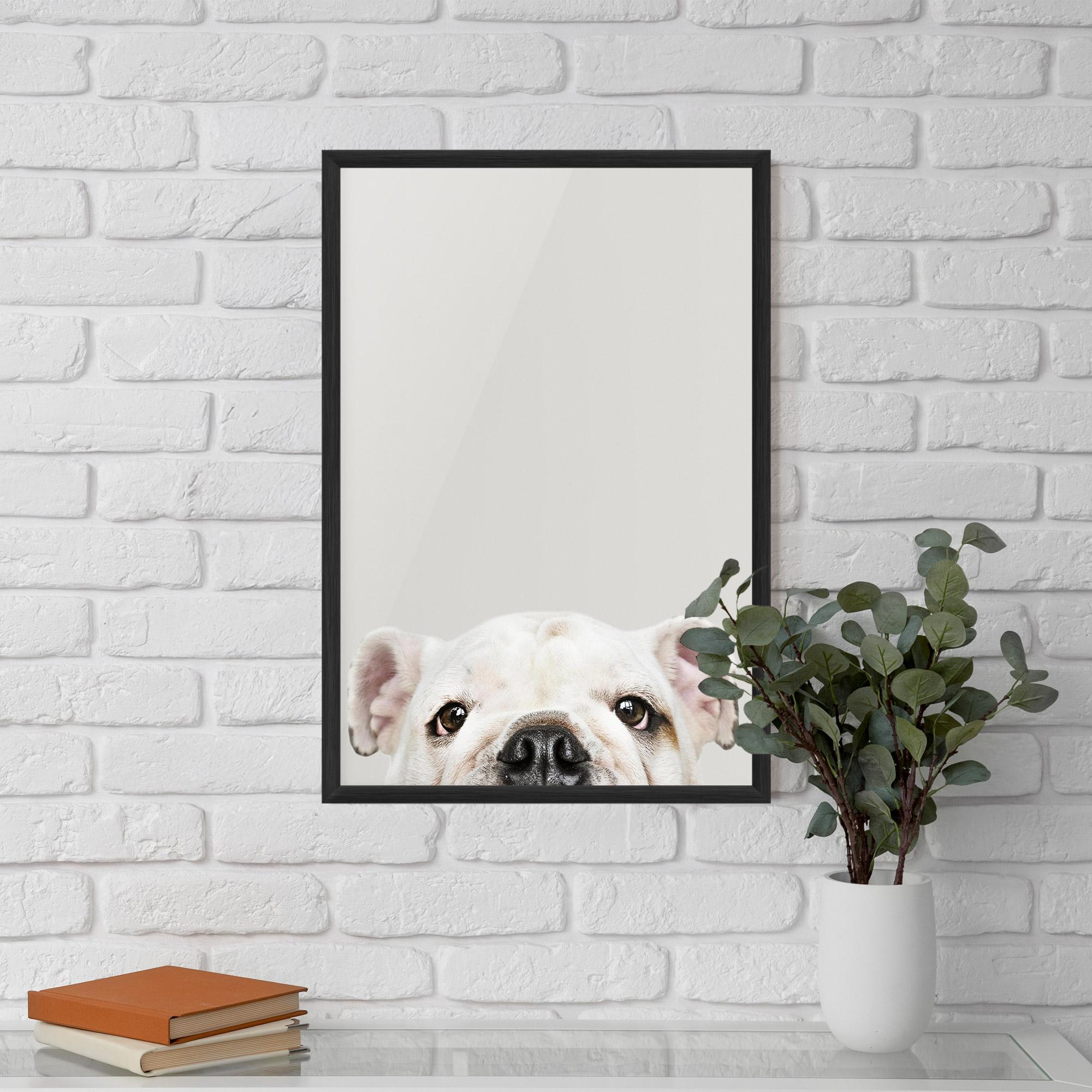 Keretezett Poszter Bulldog Eyes mockup 5