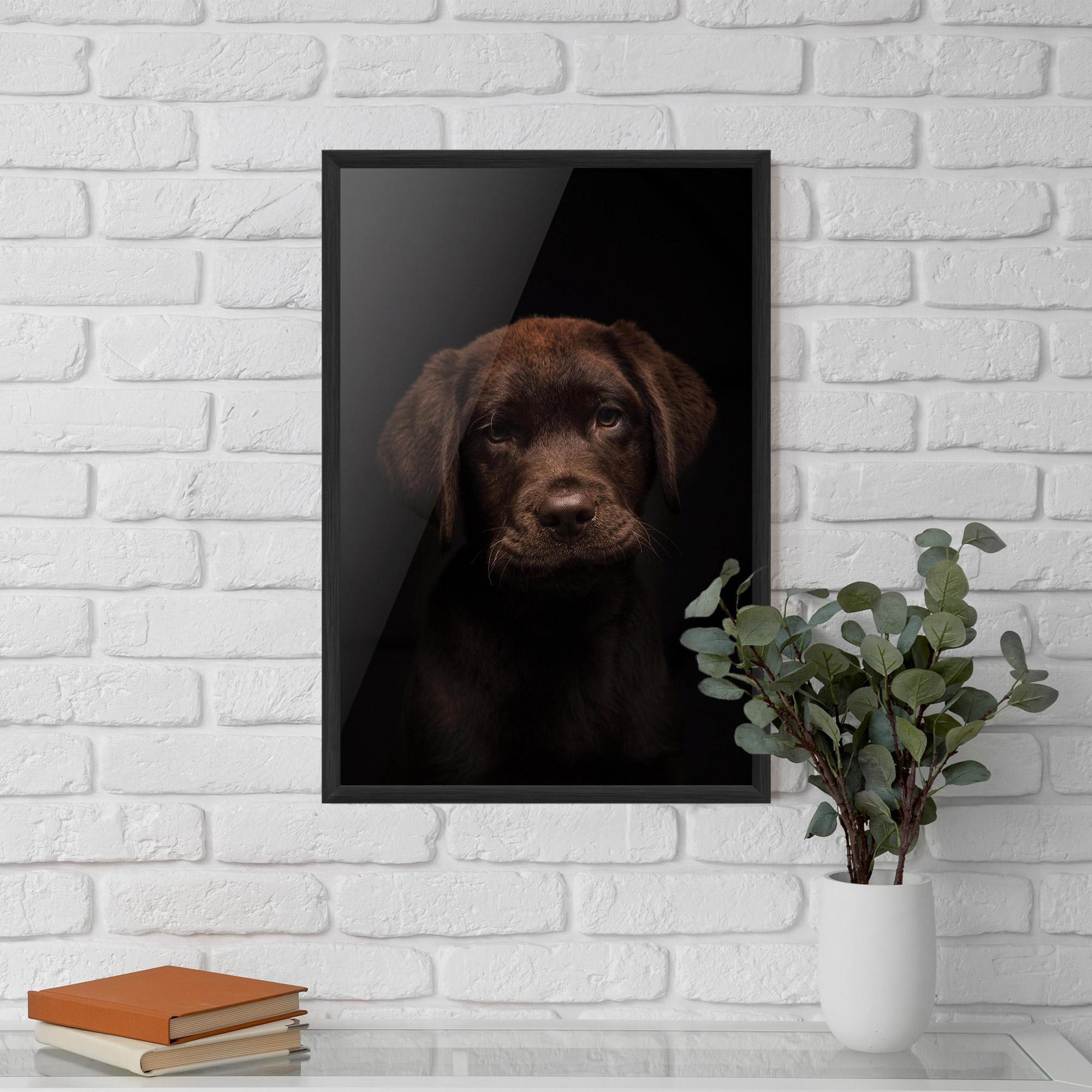 Keretezett Poszter Chocolate Labrador mockup 5