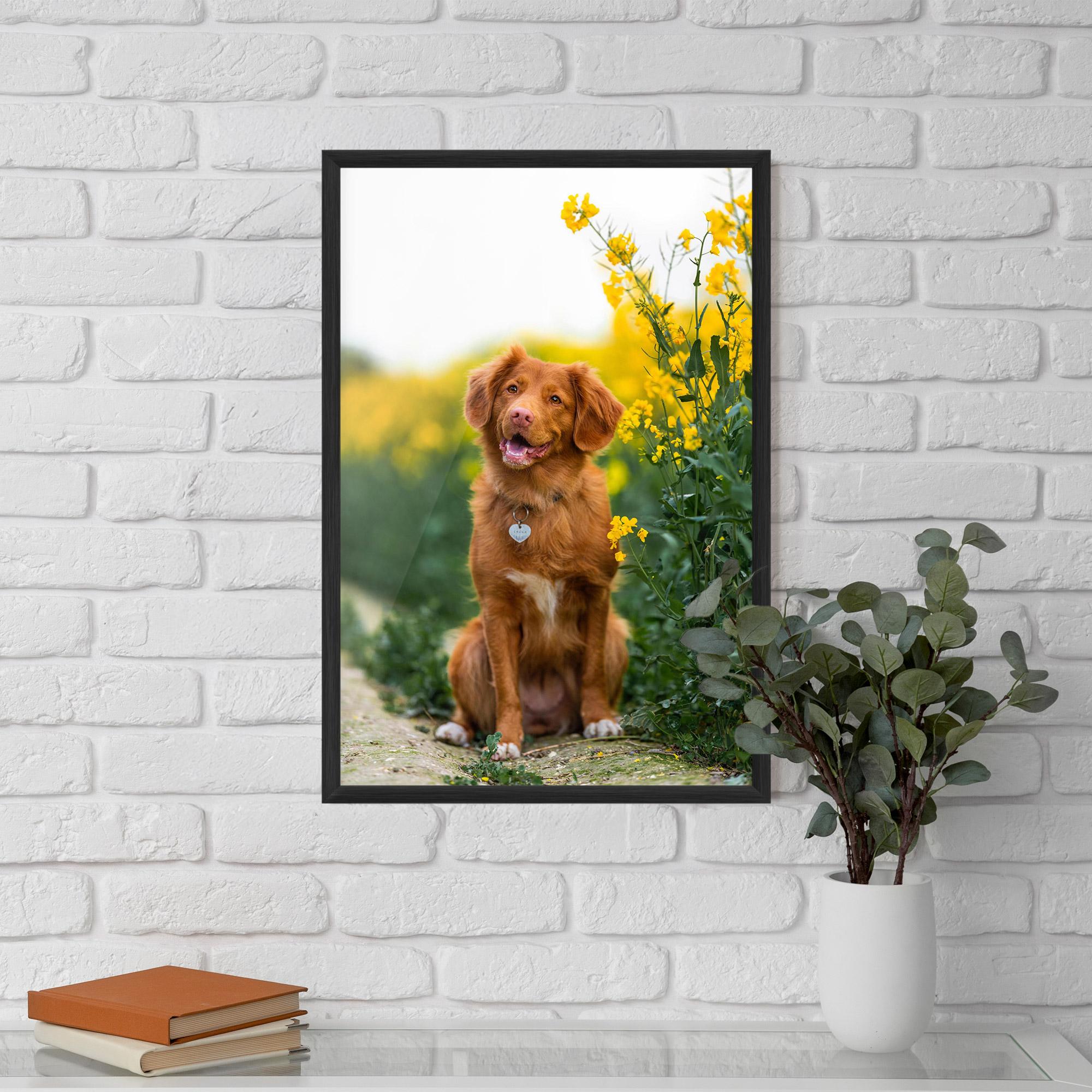 Keretezett Poszter Dog Yellow Flowers mockup 5