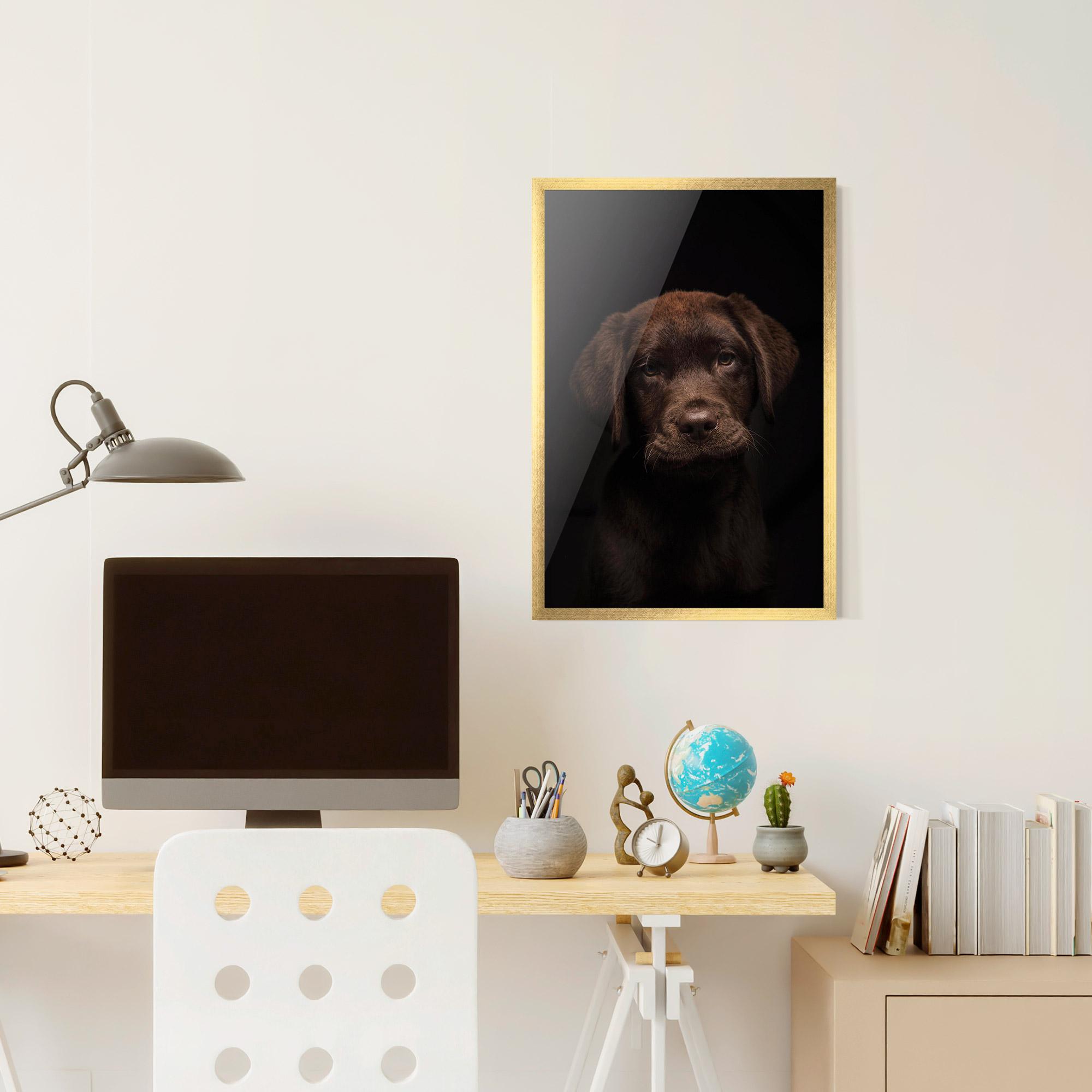 Keretezett Poszter Chocolate Labrador mockup 6