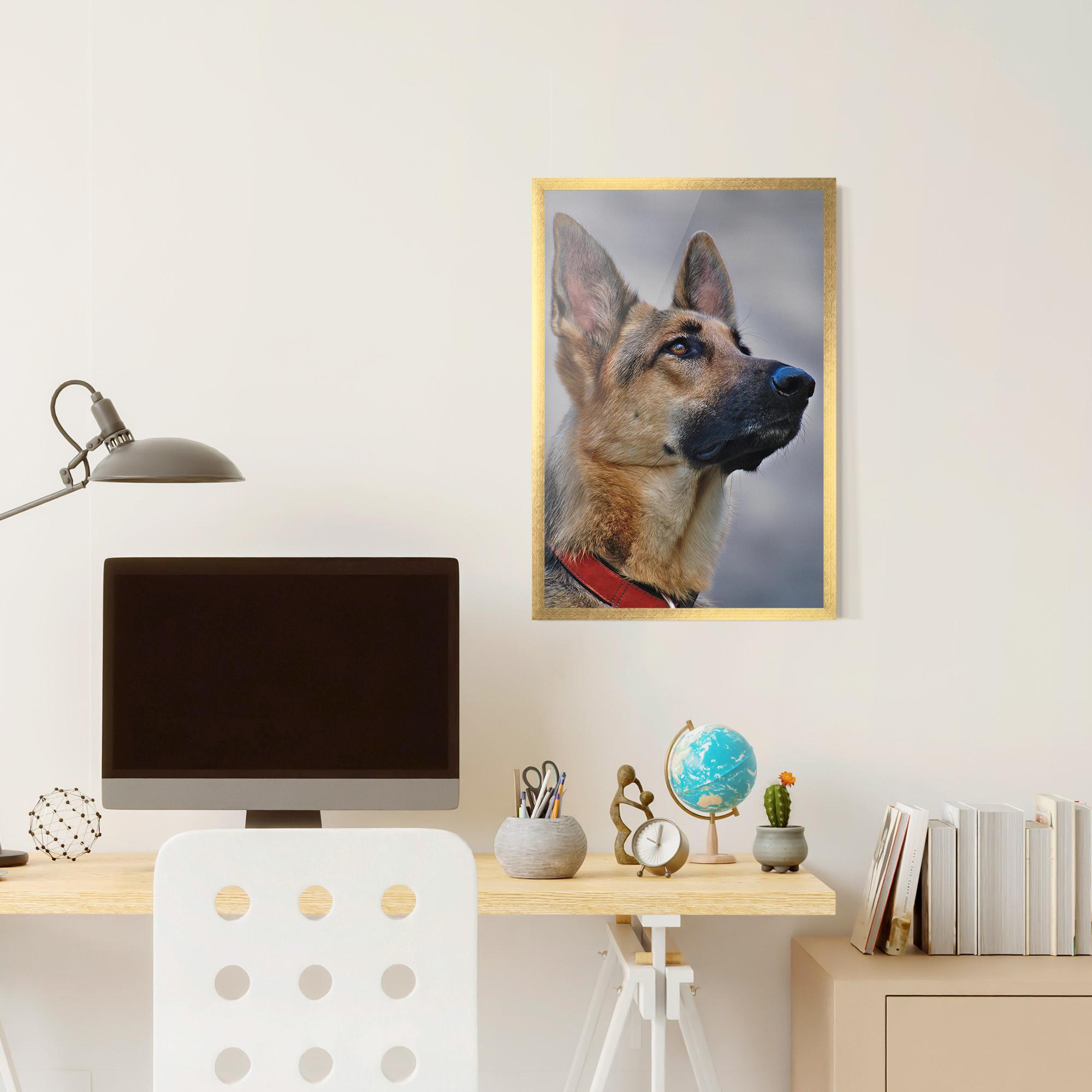Keretezett Poszter German Shepherd mockup 6