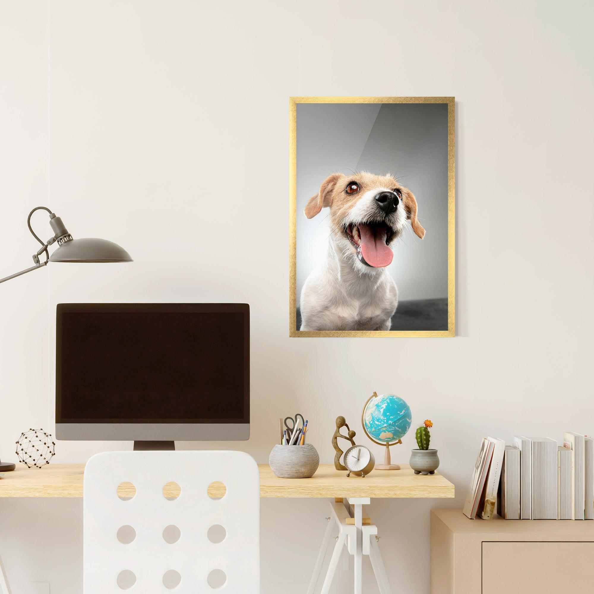 Keretezett Poszter Jack Russell Terrier mockup 6