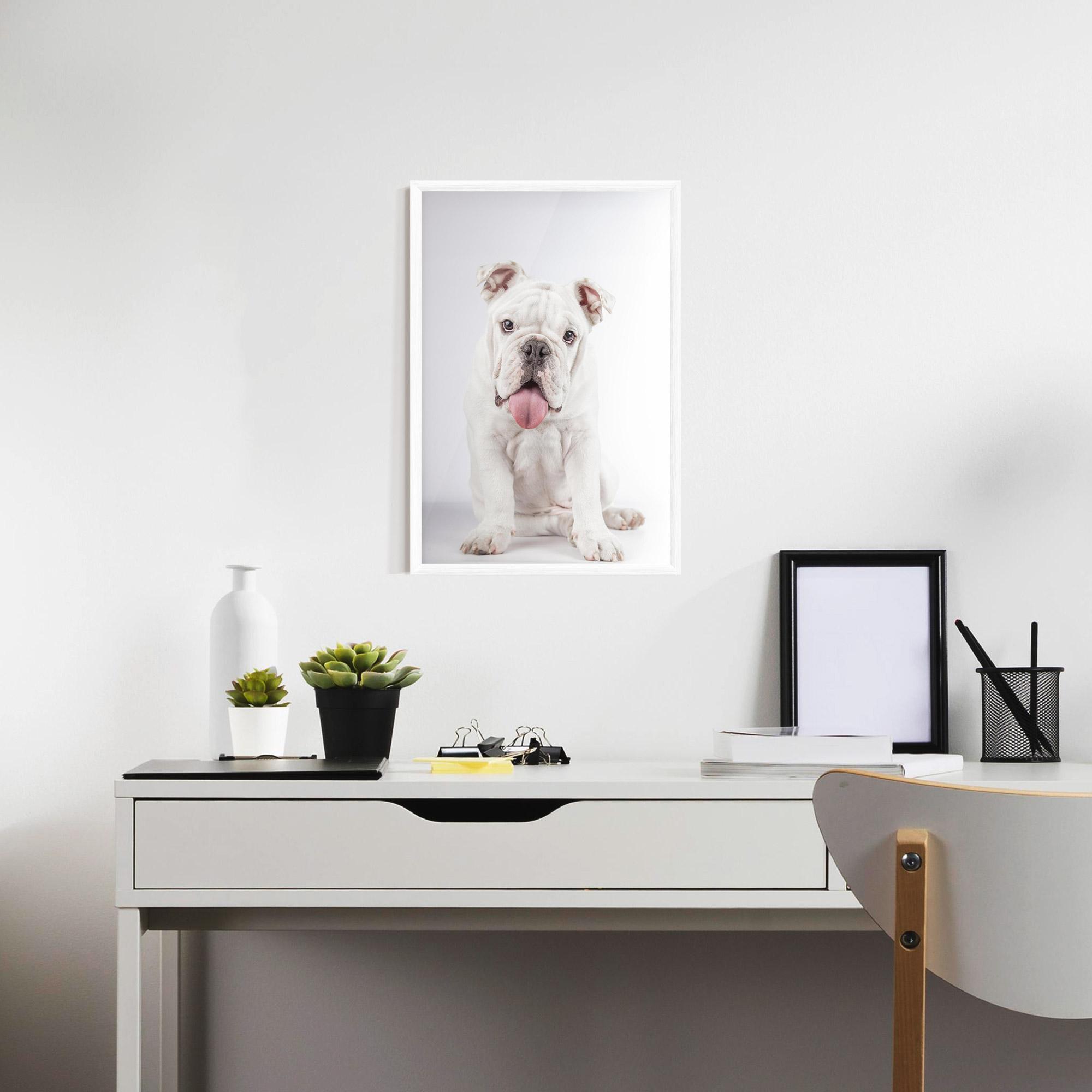 Keretezett Poszter English Bulldog mockup 7
