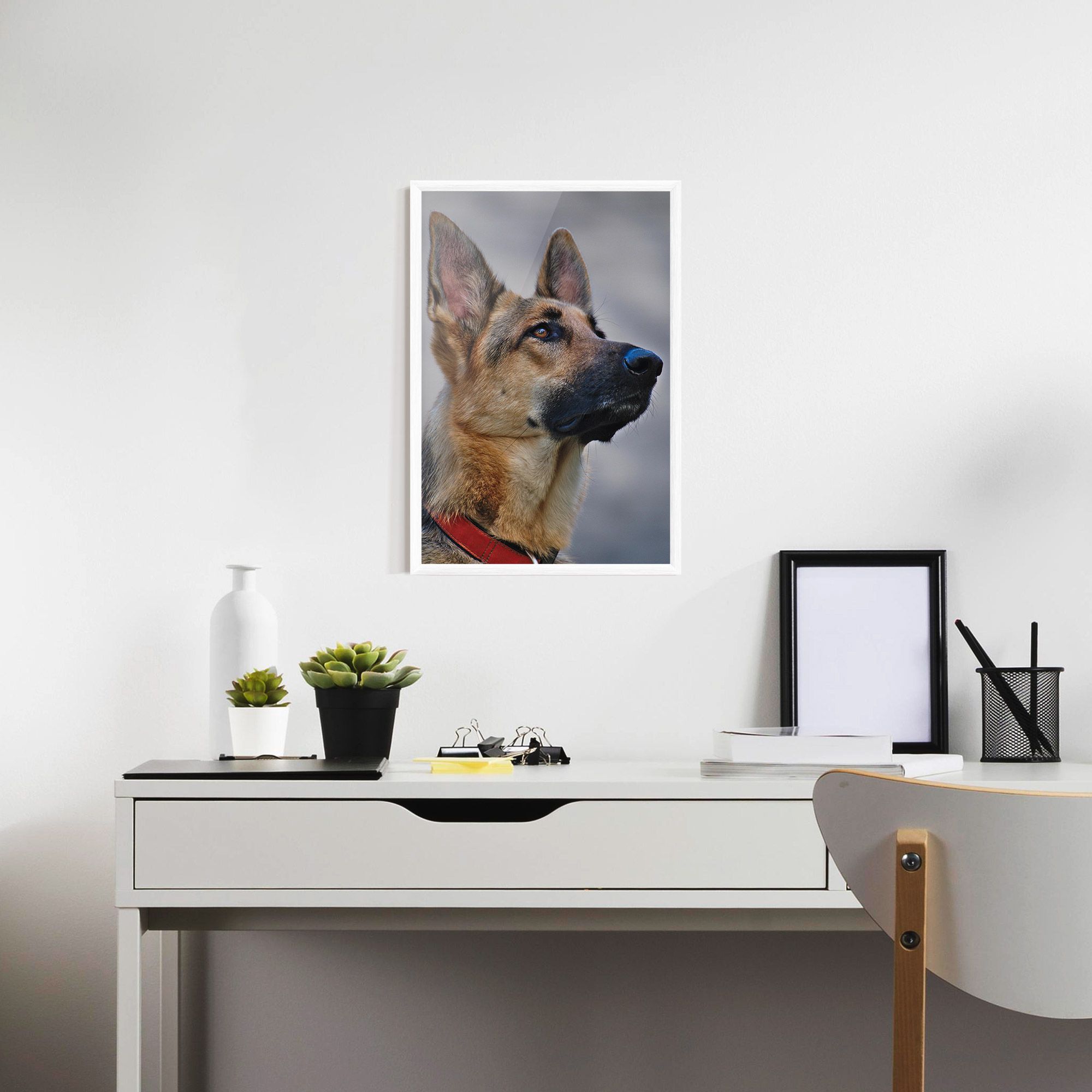 German Shepherd mockup 7