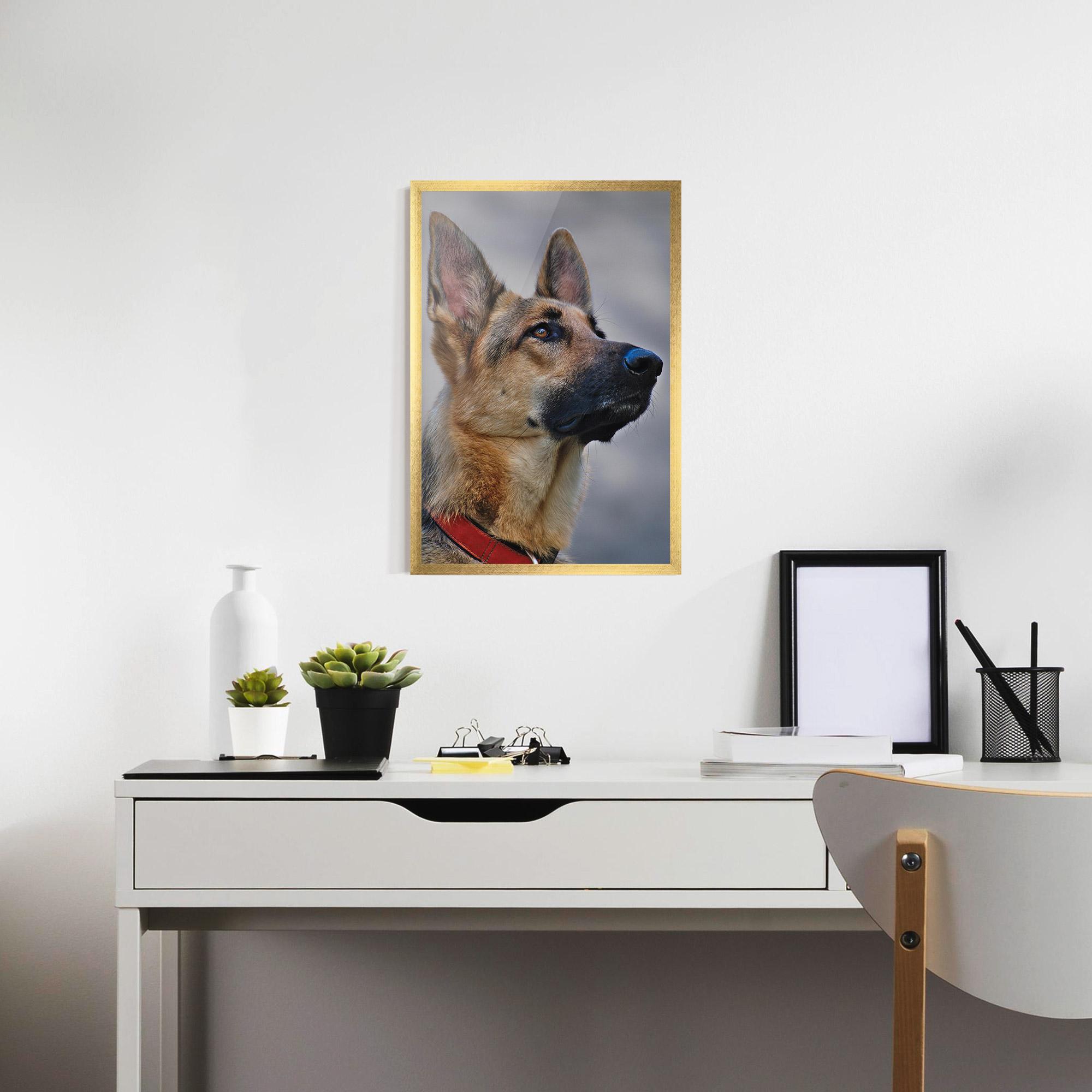 Keretezett Poszter German Shepherd mockup 7