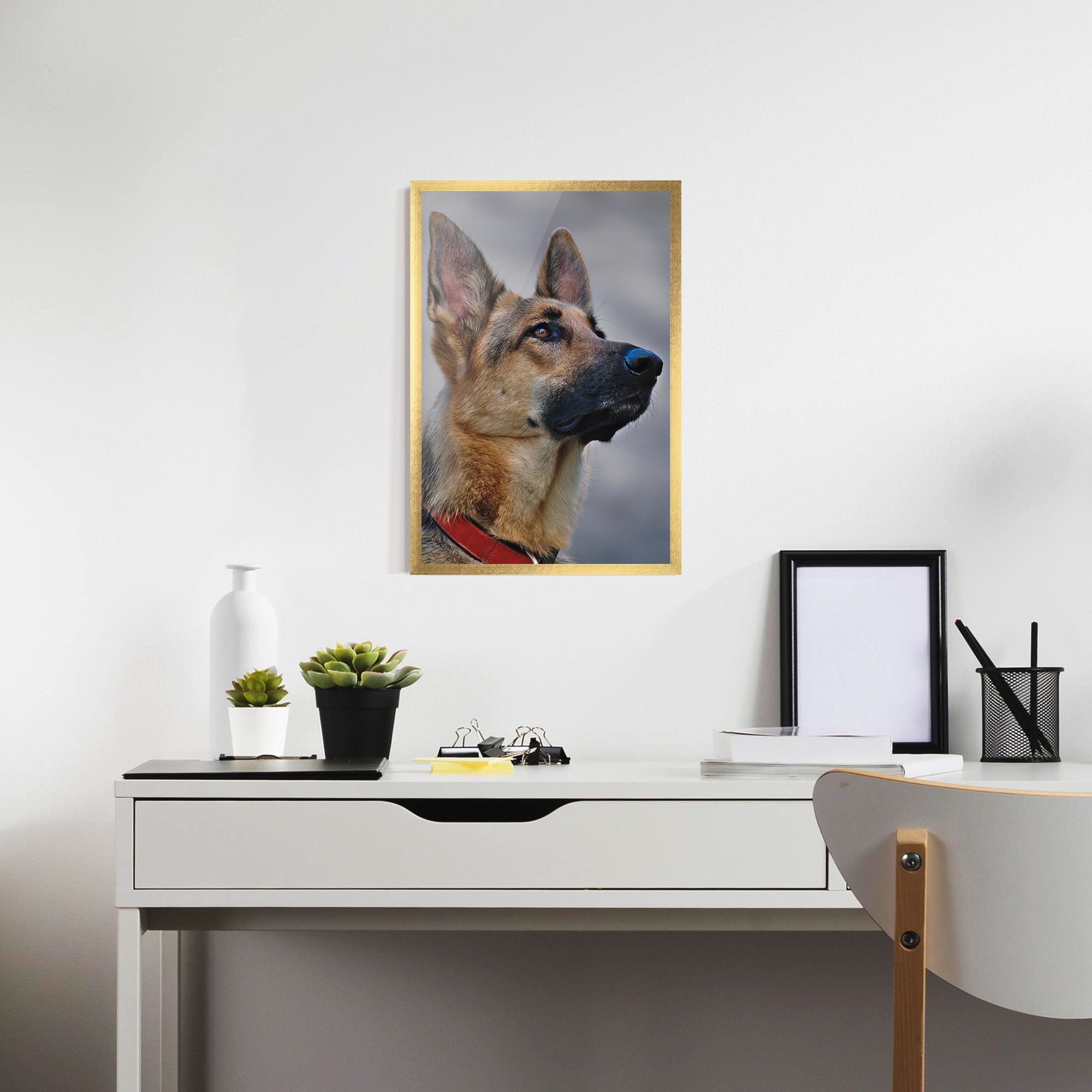 German Shepherd mockup 7