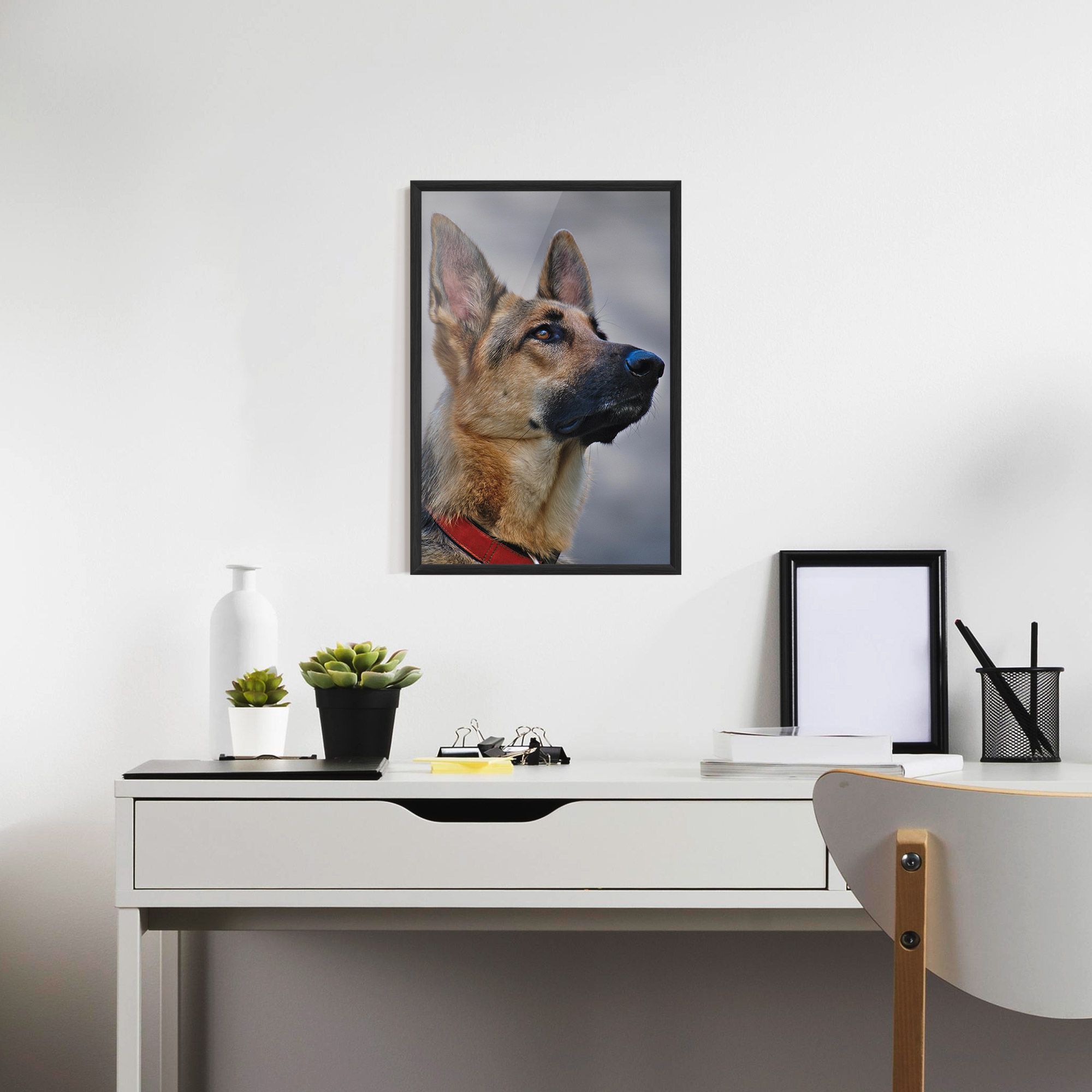 German Shepherd mockup 7