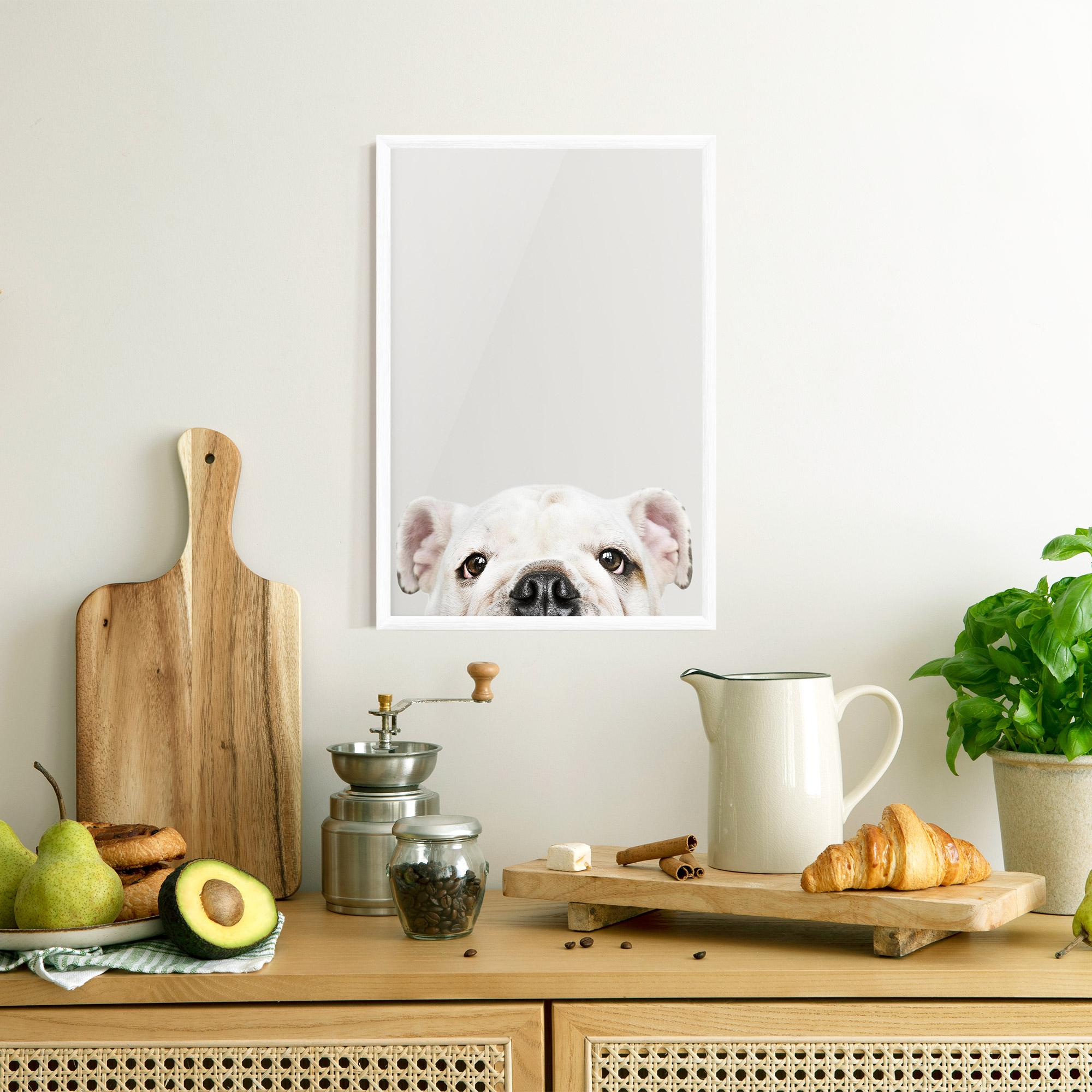 Keretezett Poszter Bulldog Eyes mockup 8