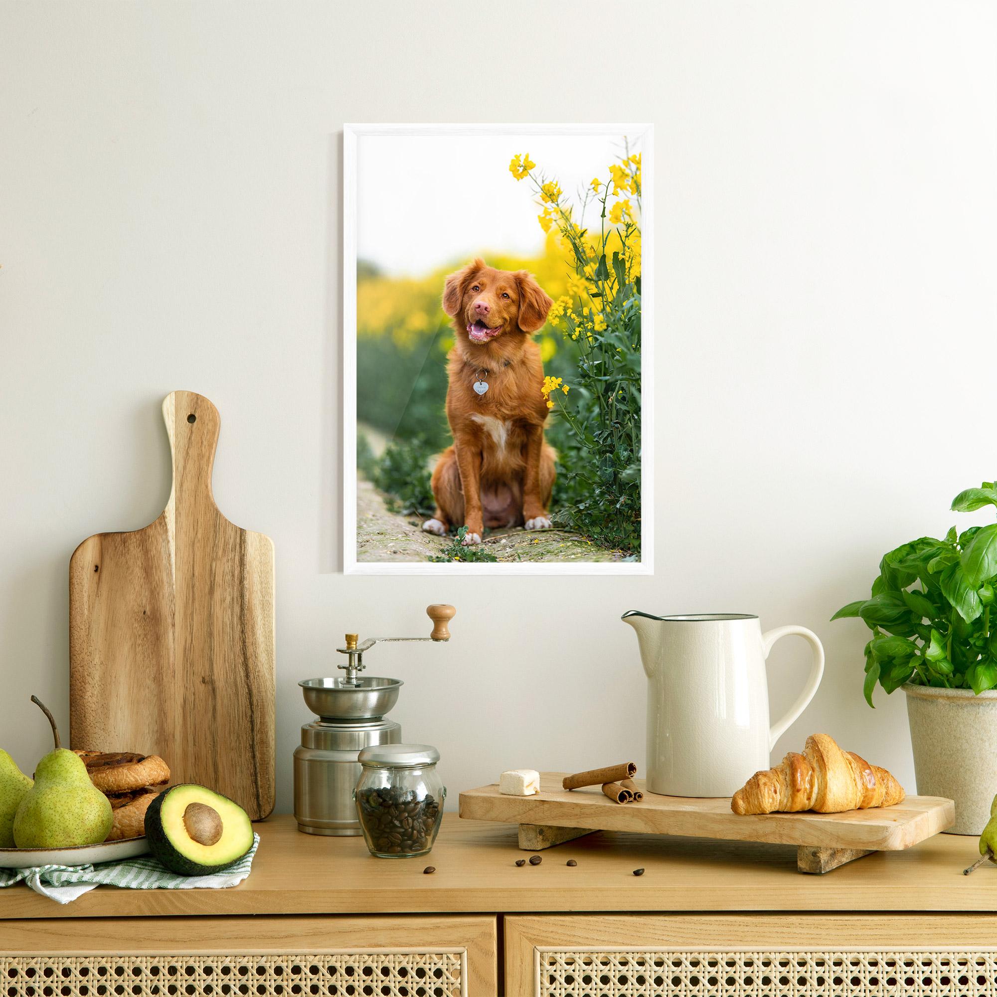 Keretezett Poszter Dog Yellow Flowers mockup 8