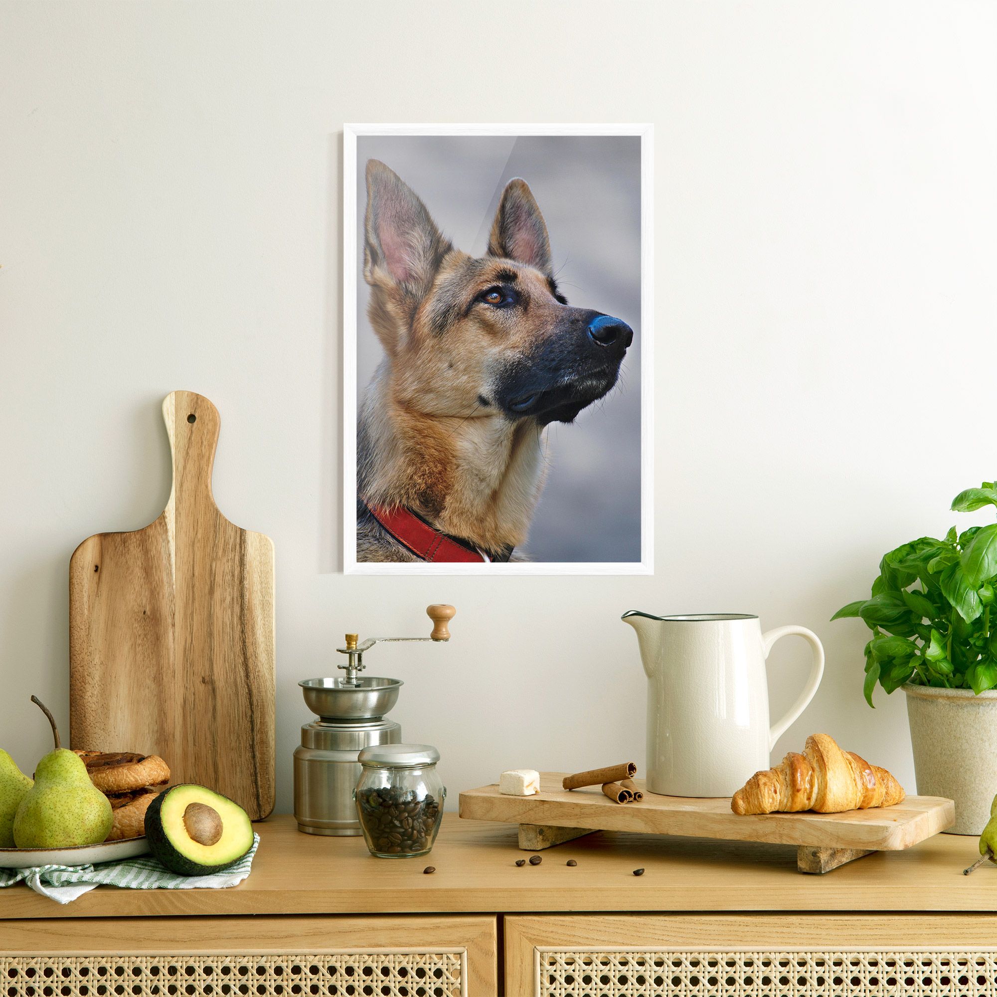 German Shepherd mockup 8