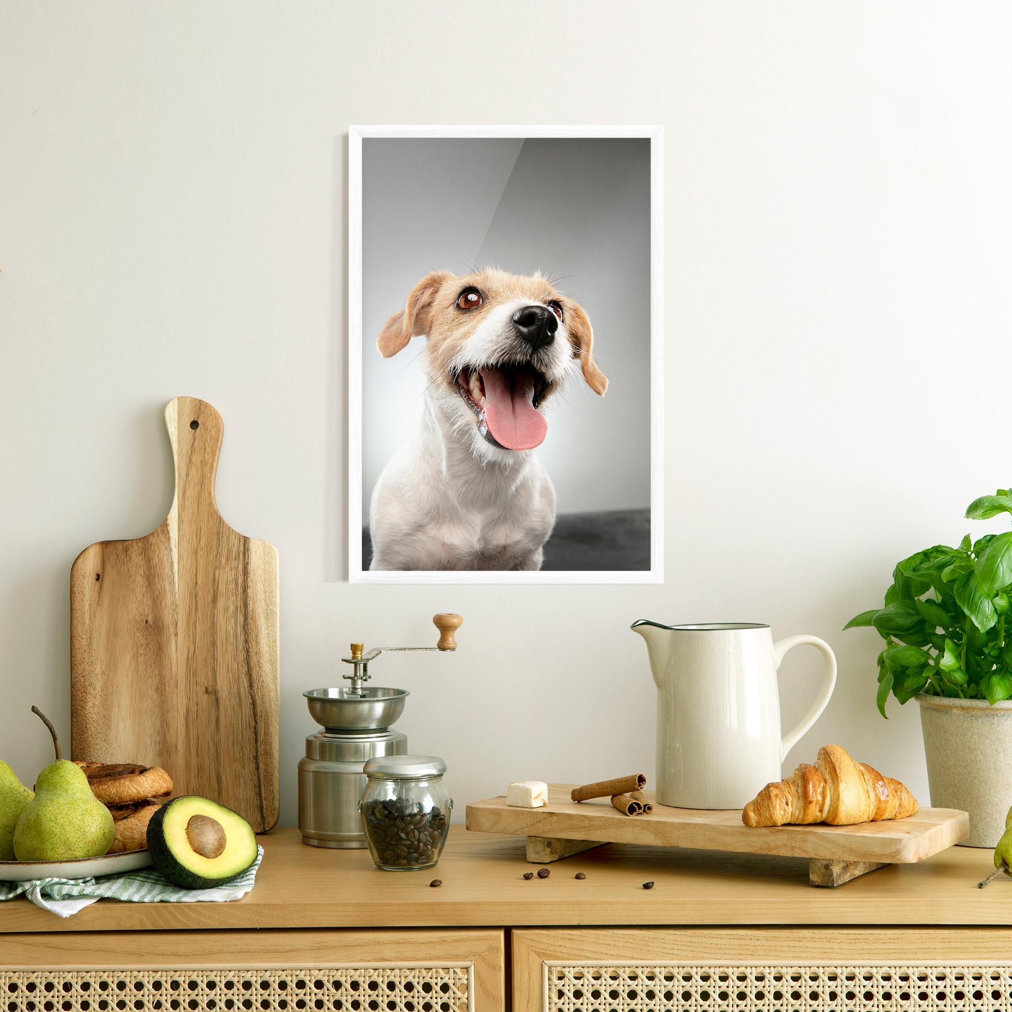 Keretezett Poszter Jack Russell Terrier mockup 8