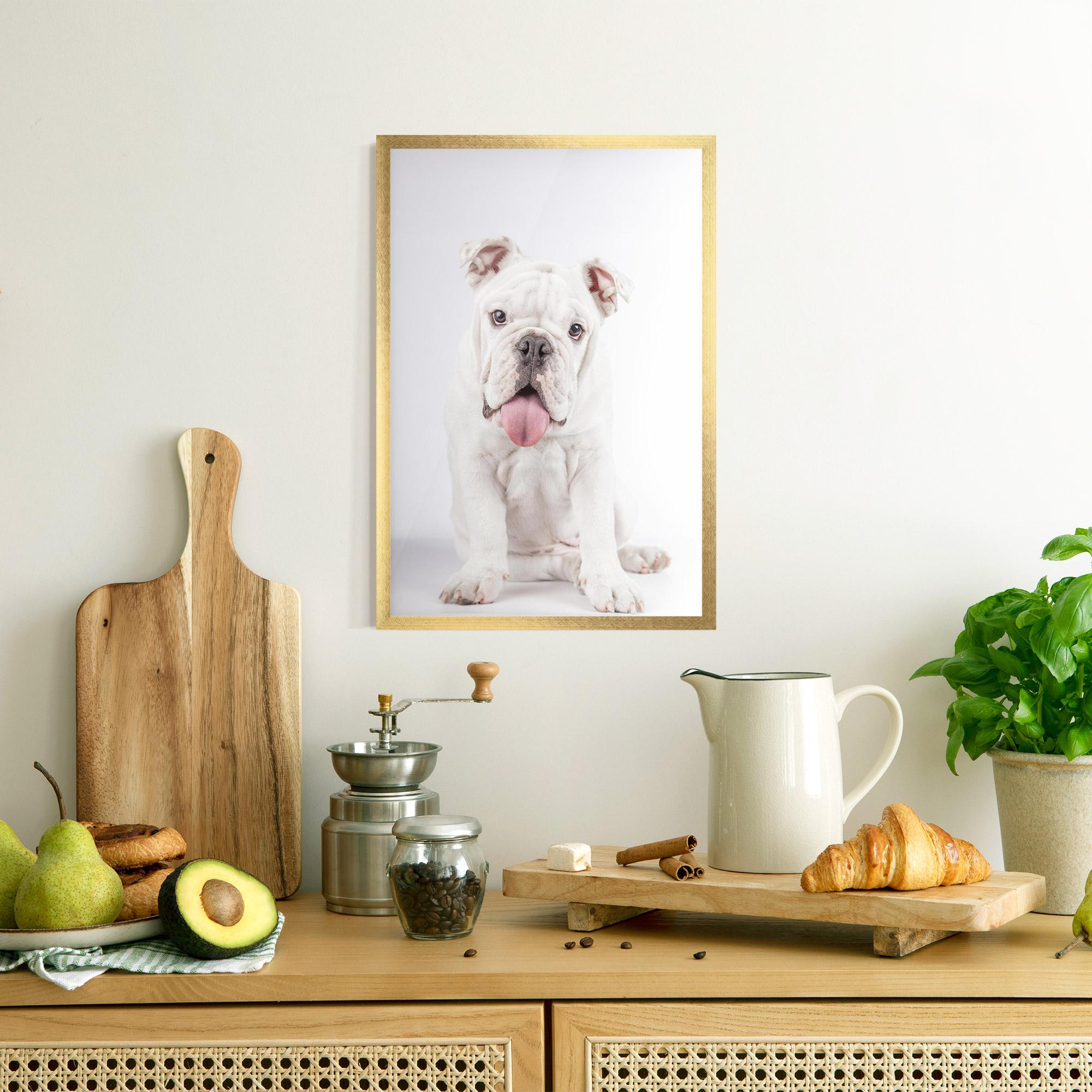 Keretezett Poszter English Bulldog mockup 8
