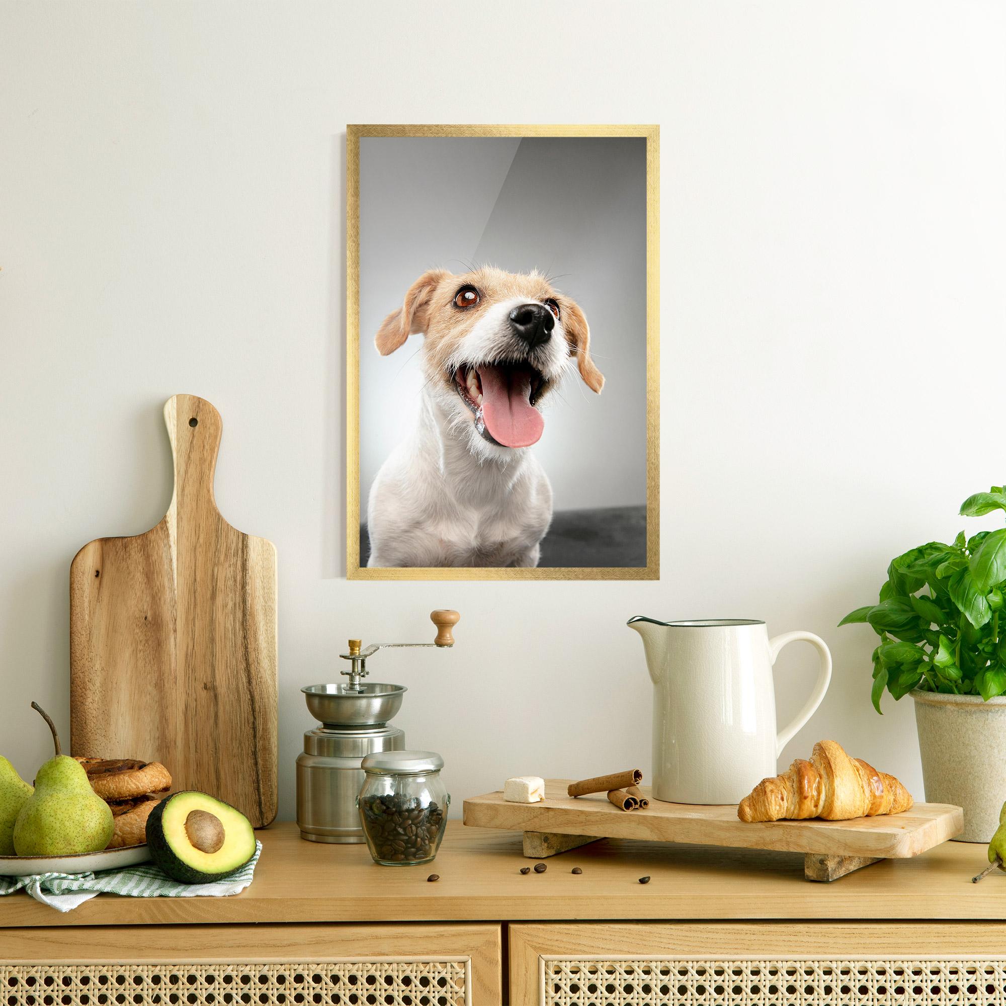 Keretezett Poszter Jack Russell Terrier mockup 8