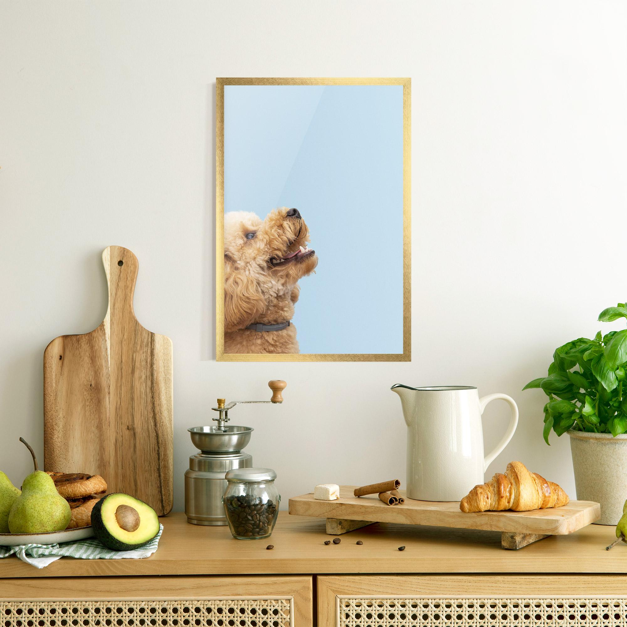 Keretezett Poszter Yellow Cute Dog mockup 8