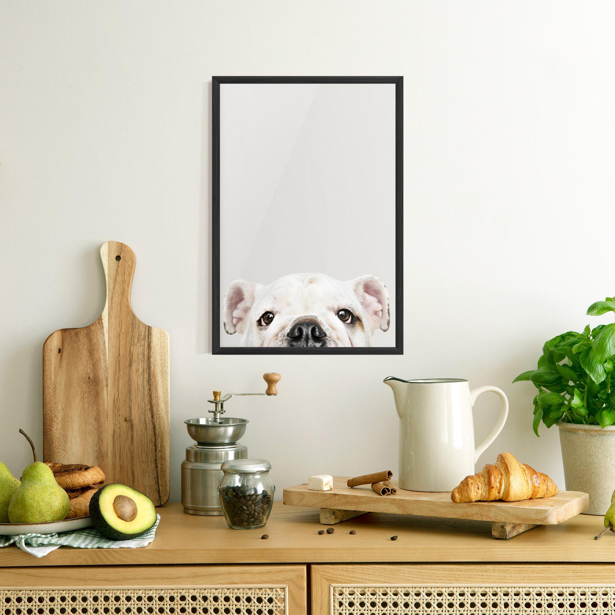 Keretezett Poszter Bulldog Eyes mockup 8