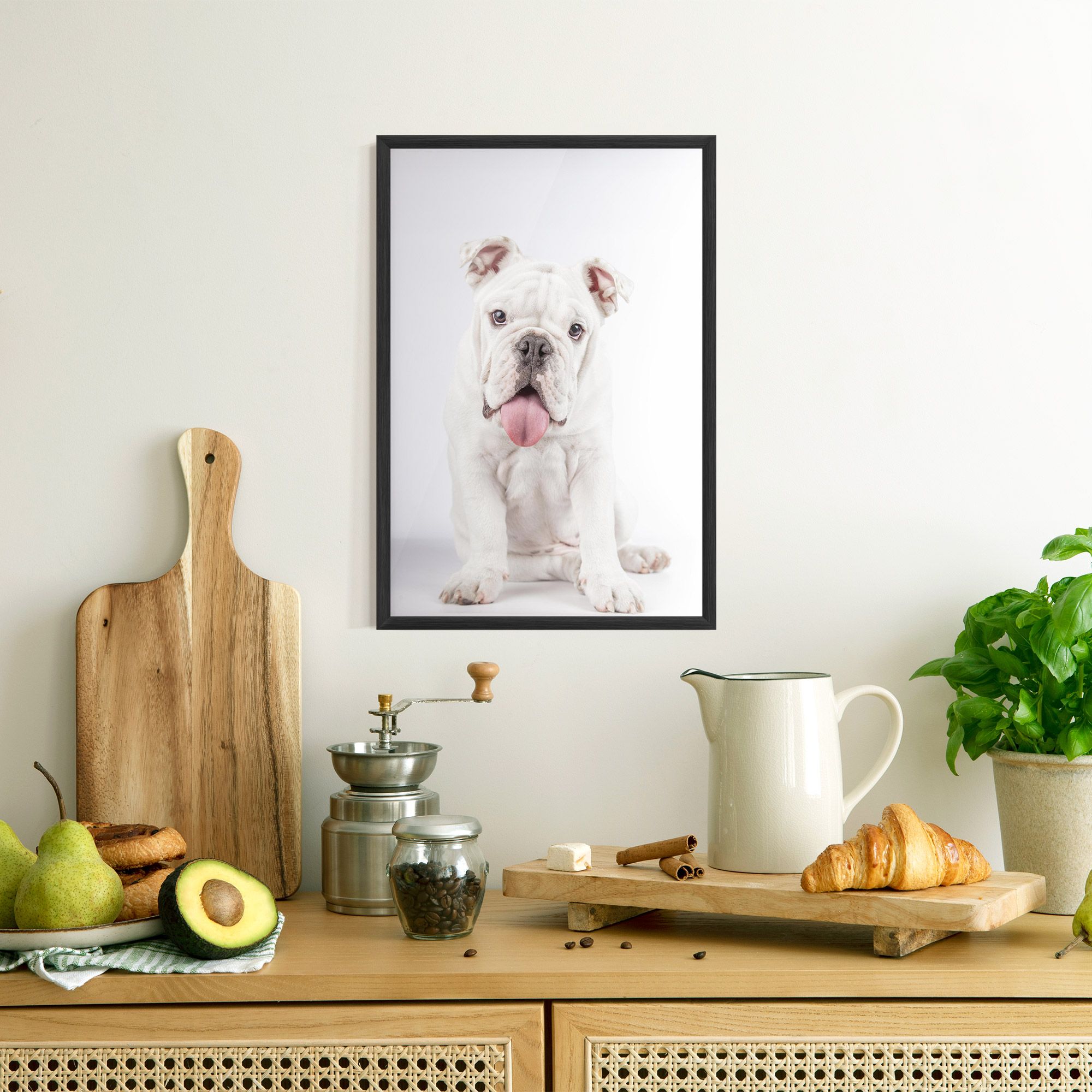 English Bulldog mockup 8
