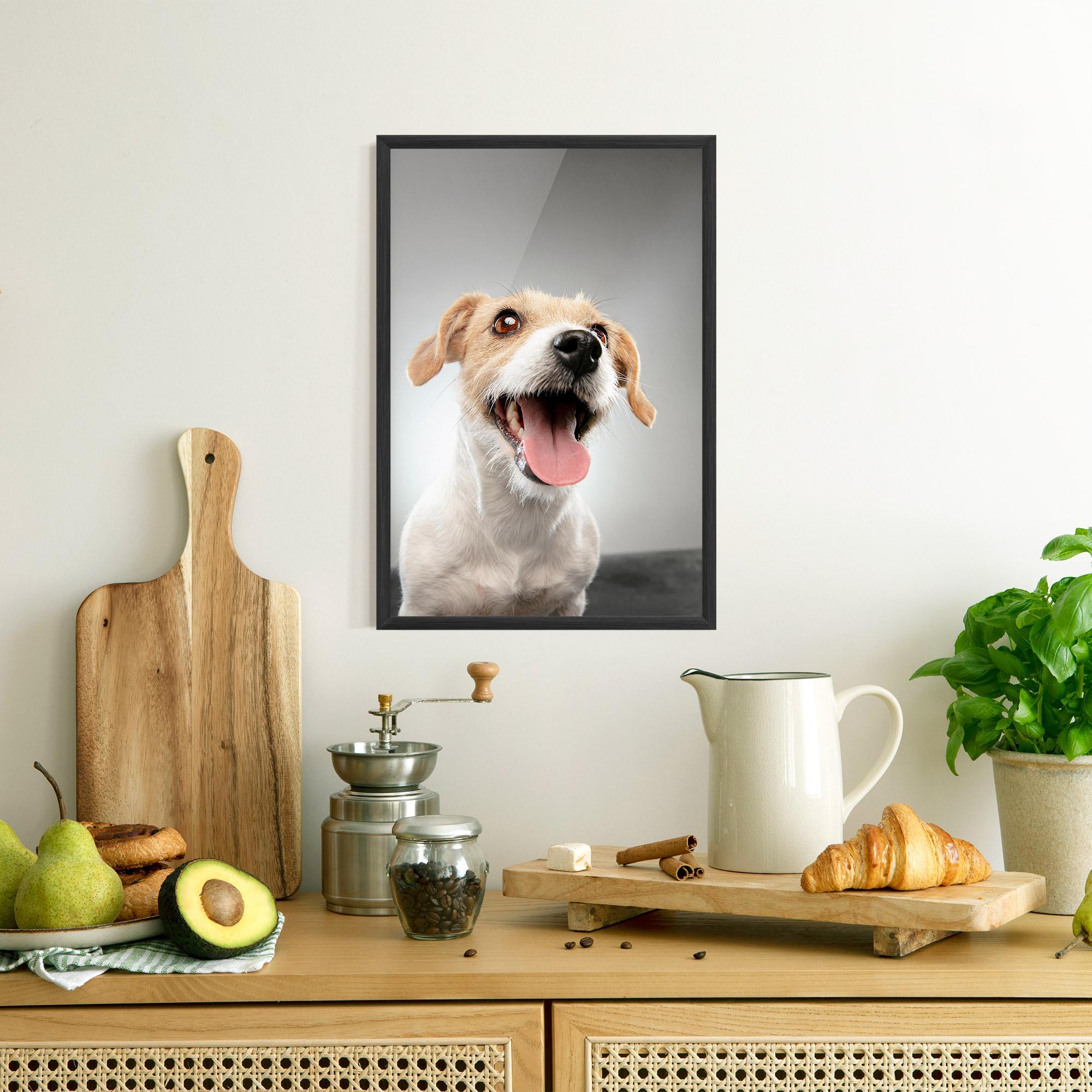 Keretezett Poszter Jack Russell Terrier mockup 8