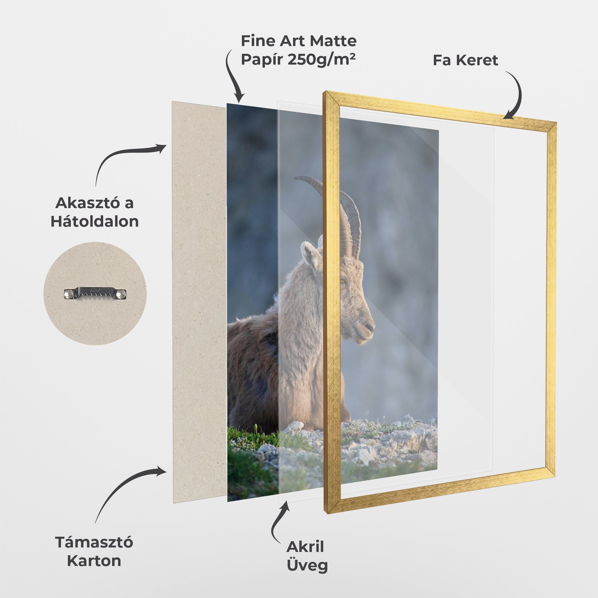 Mountain Goat mockup 1