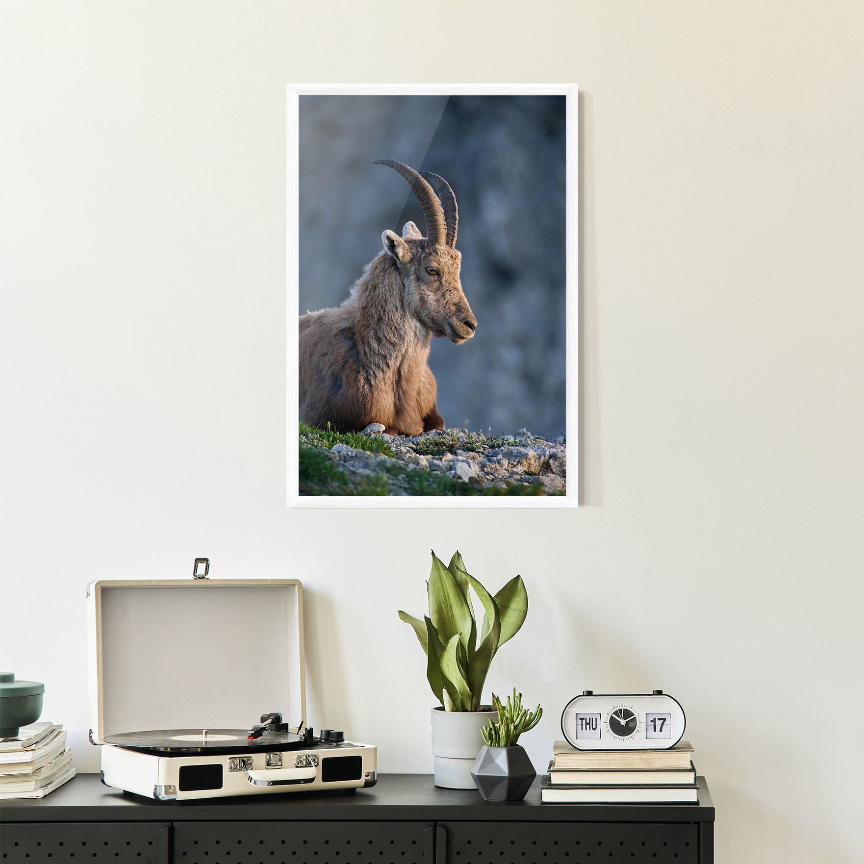 Mountain Goat mockup 2