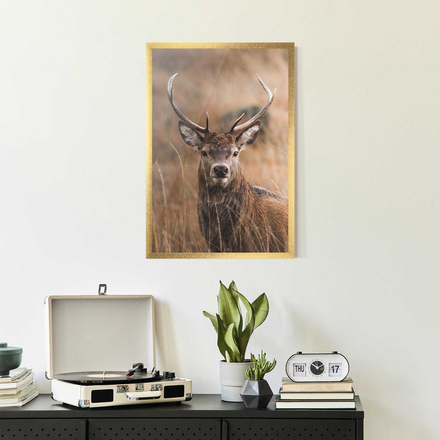 Keretezett Poszter Majestic Deer mockup 2