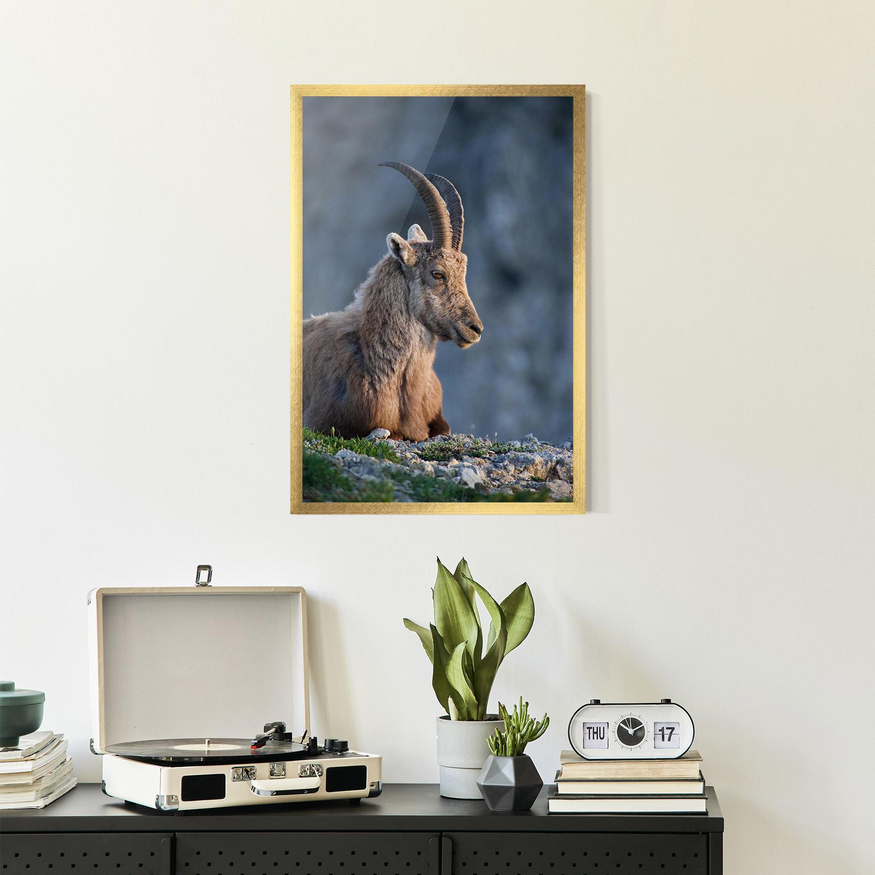 Keretezett Poszter Mountain Goat mockup 2