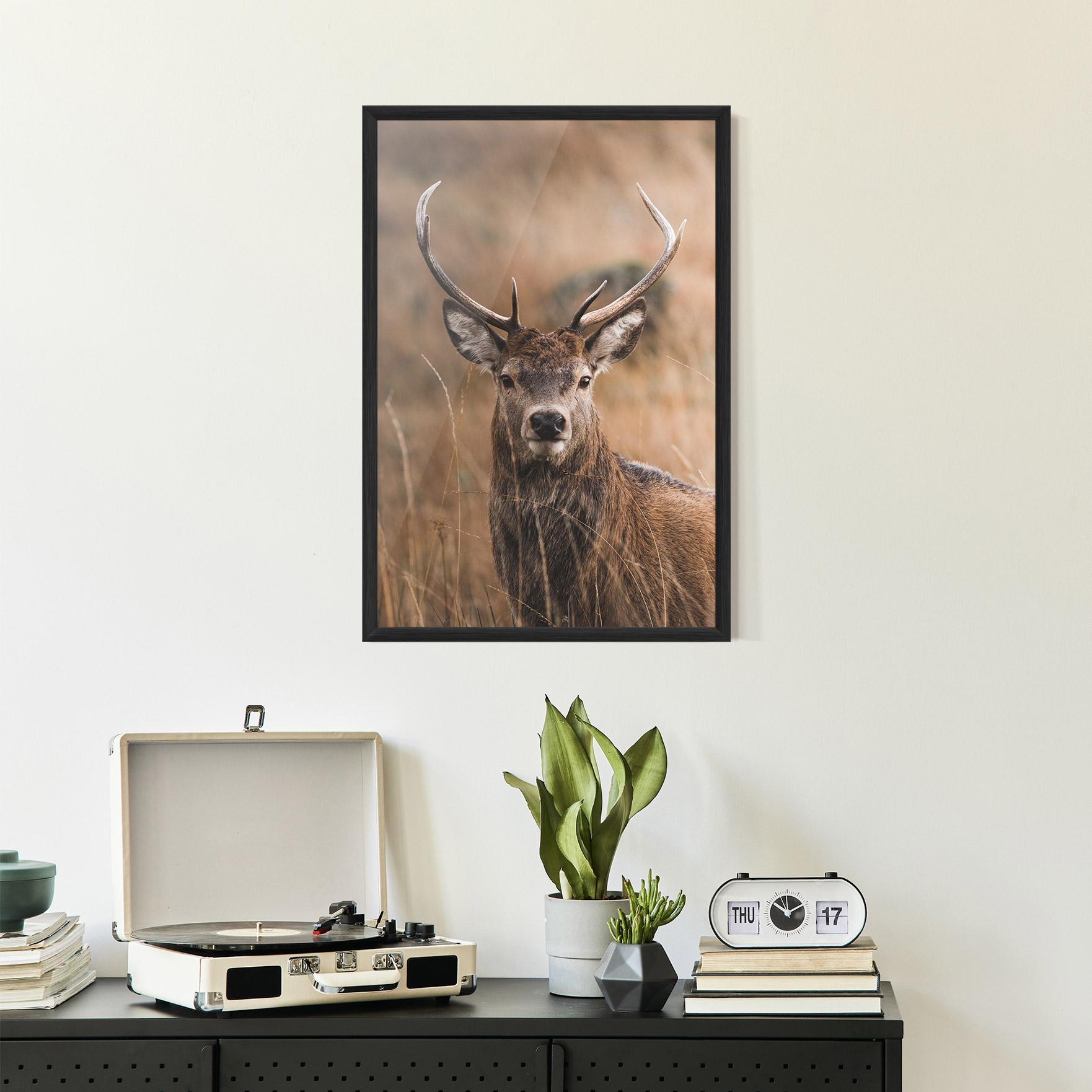 Keretezett Poszter Majestic Deer mockup 2