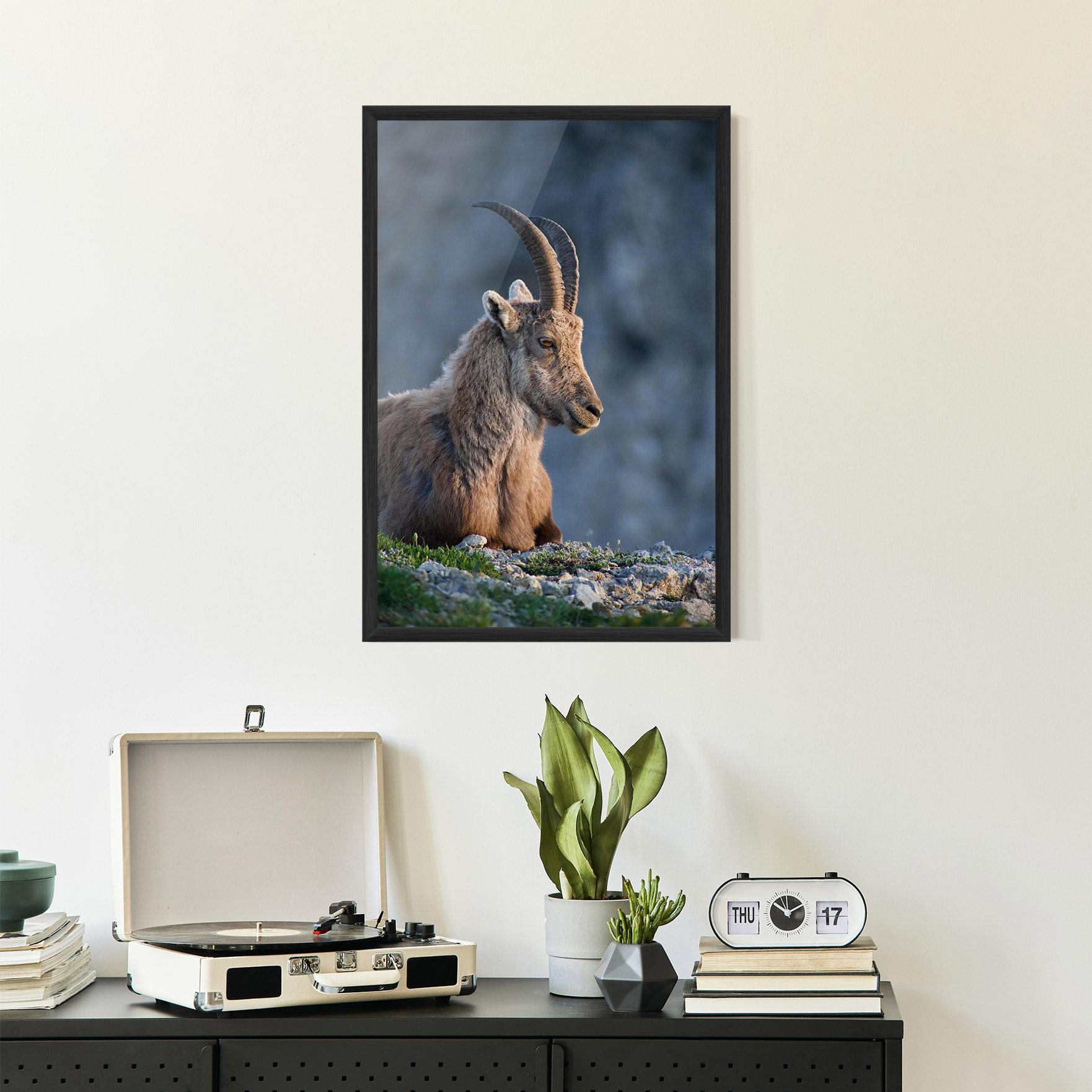 Keretezett Poszter Mountain Goat mockup 2