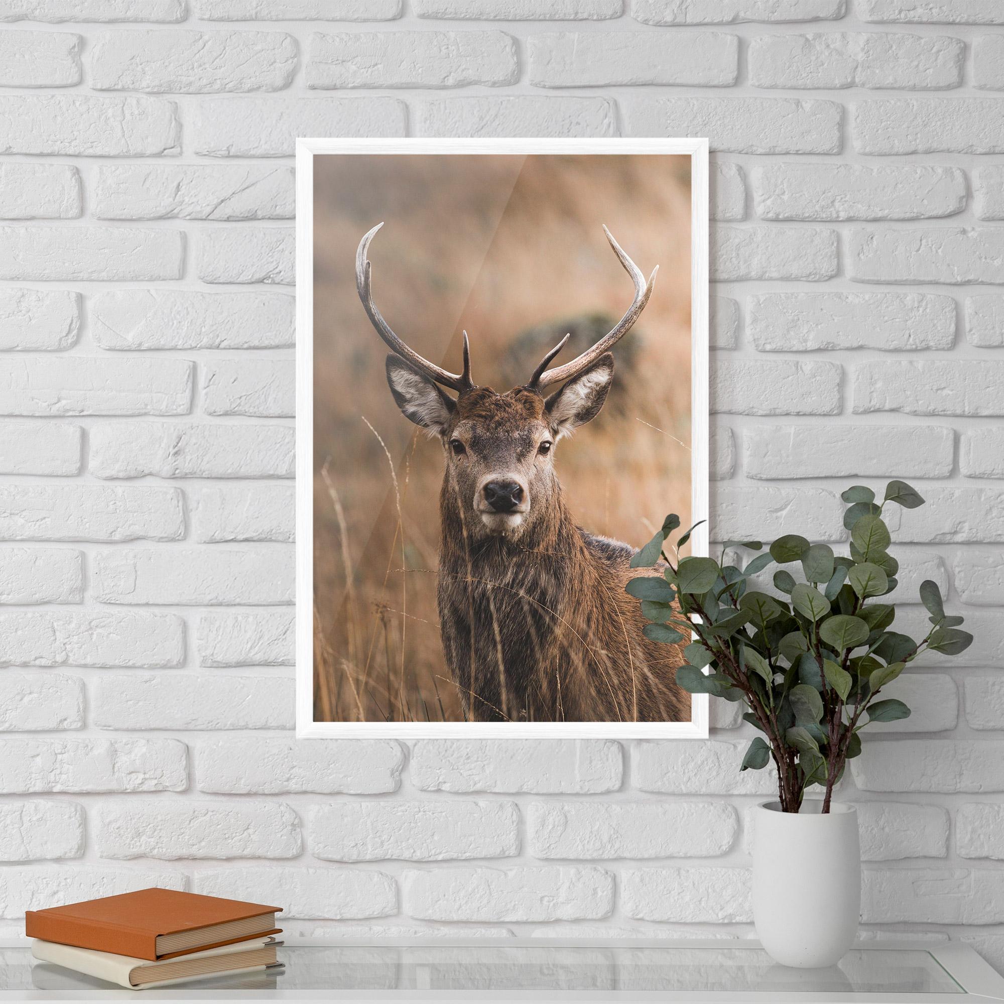Keretezett Poszter Majestic Deer mockup 5