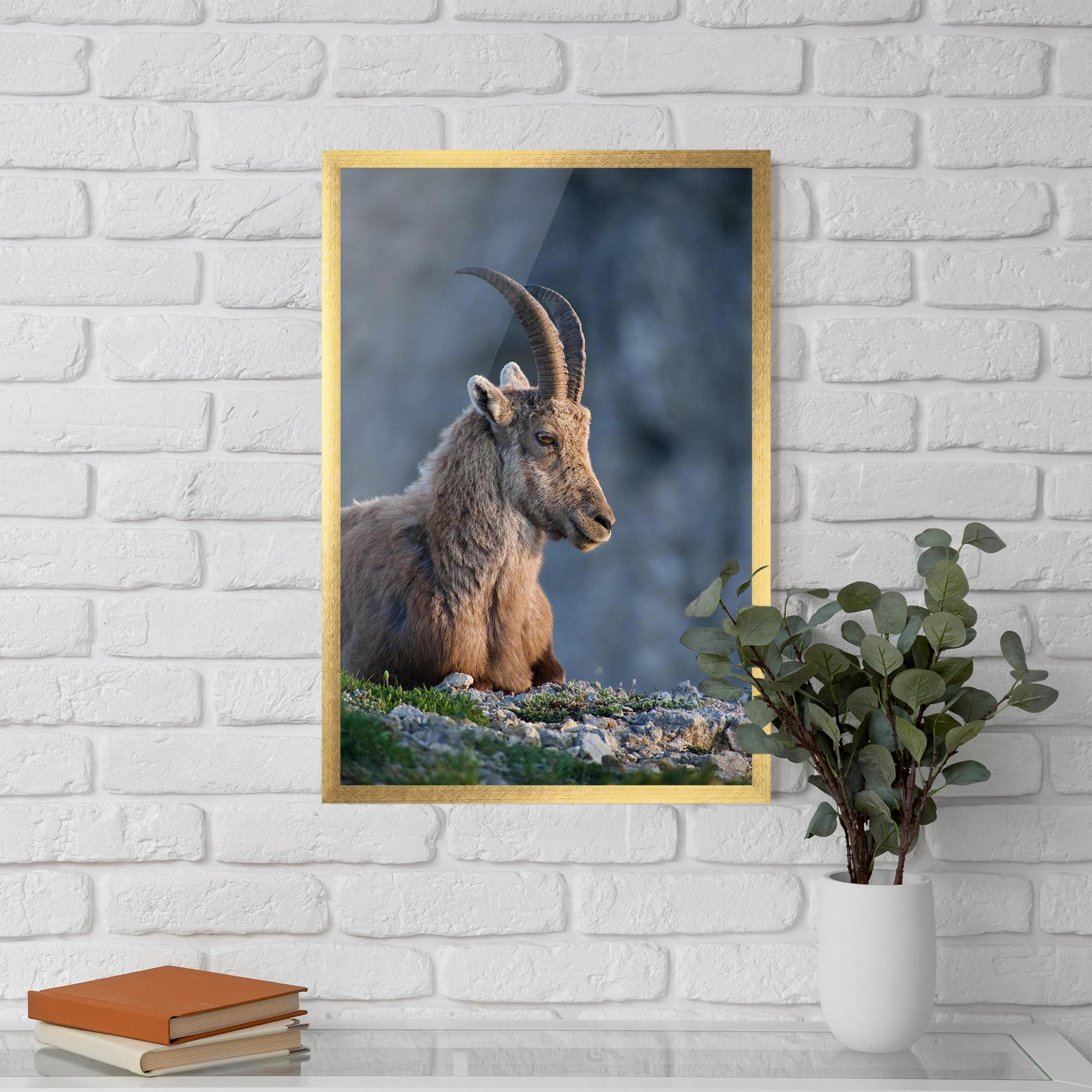 Keretezett Poszter Mountain Goat mockup 5