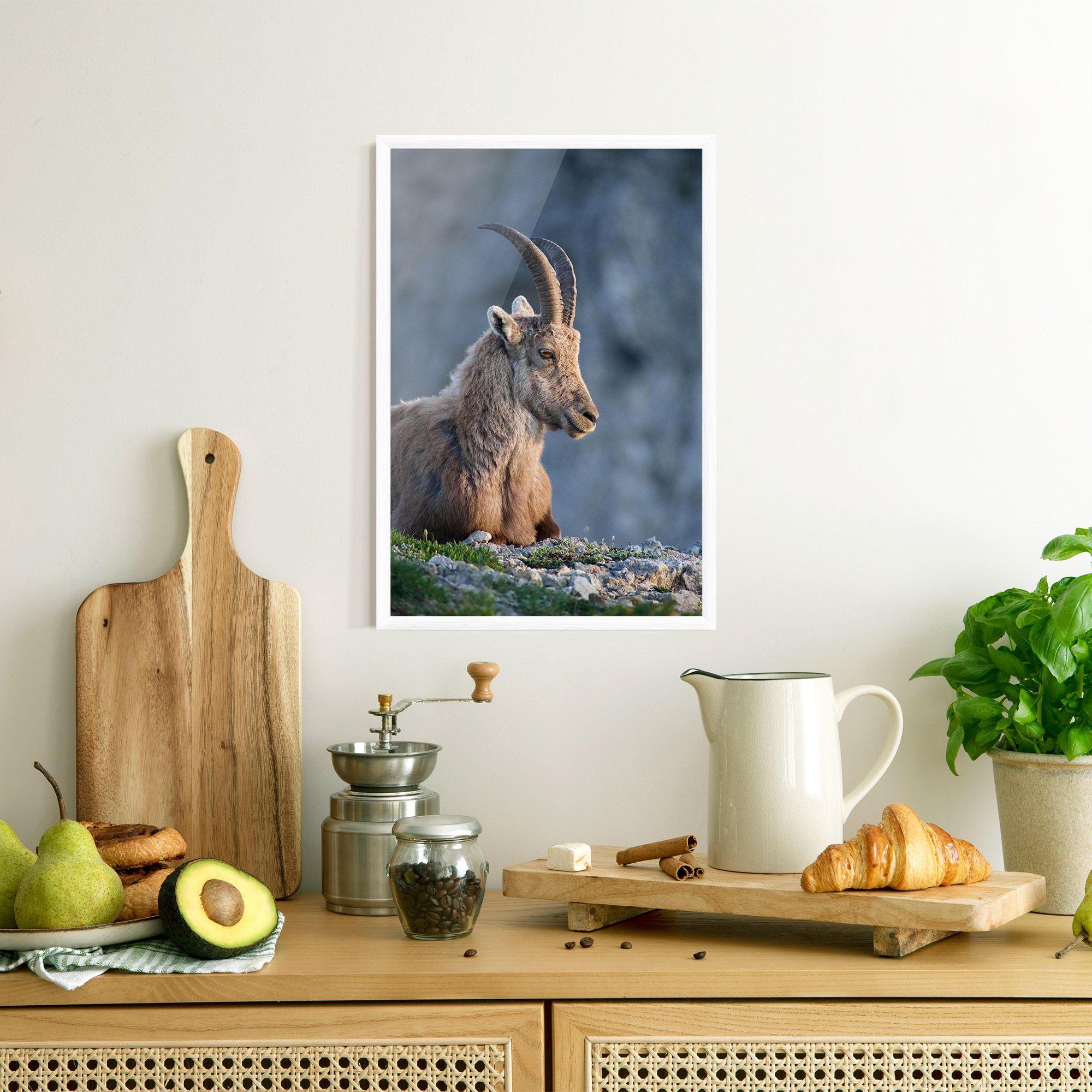 Mountain Goat mockup 8