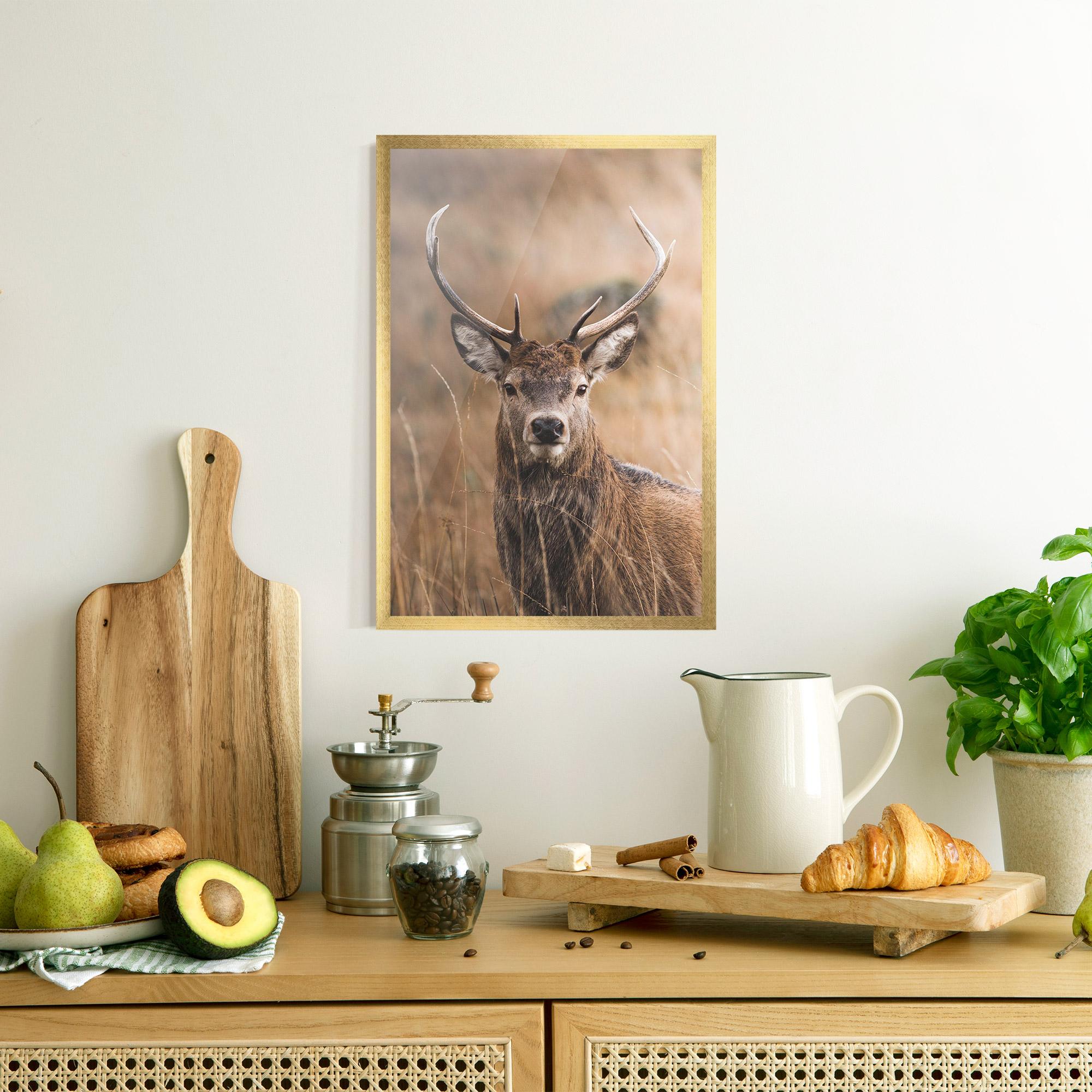 Keretezett Poszter Majestic Deer mockup 8