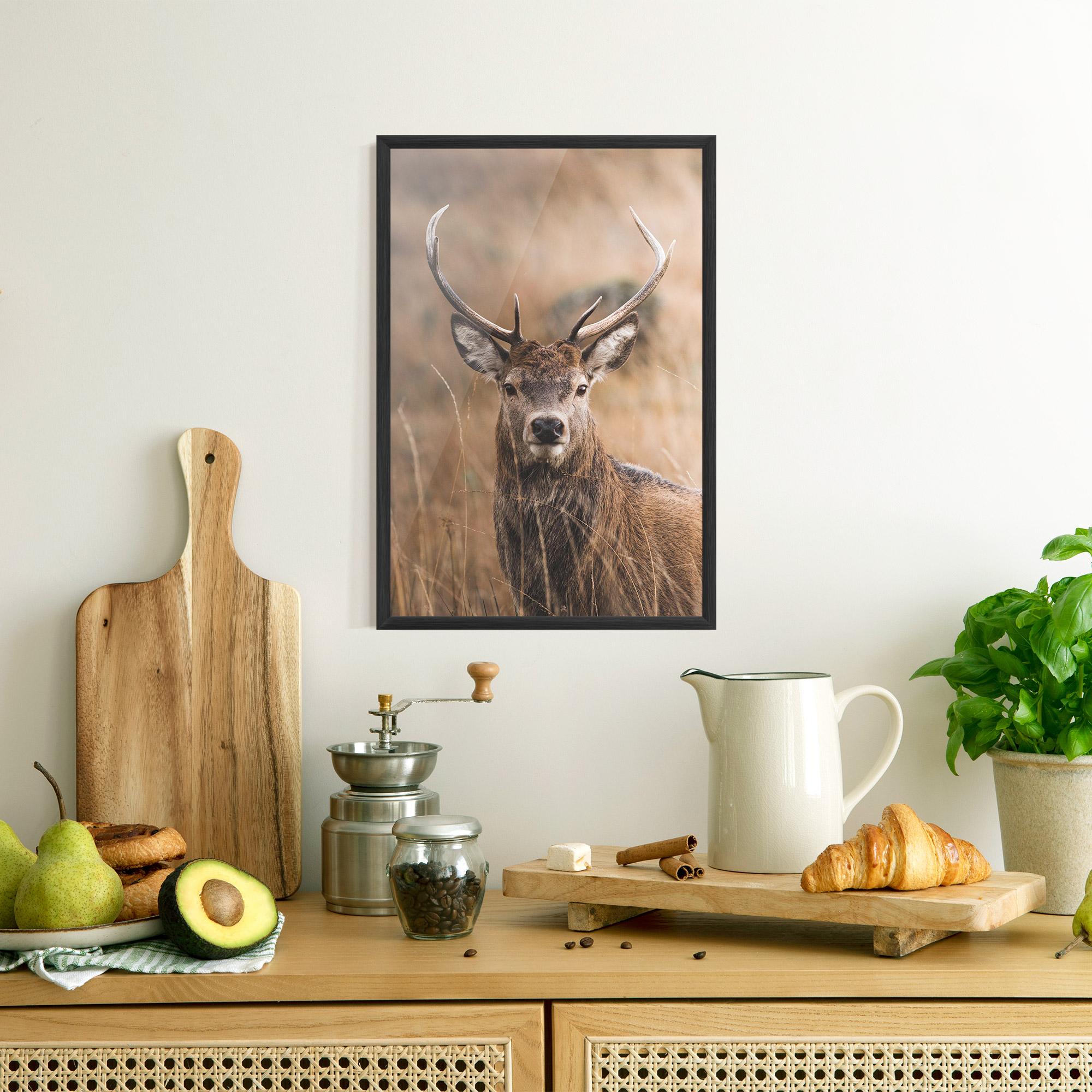 Keretezett Poszter Majestic Deer mockup 8