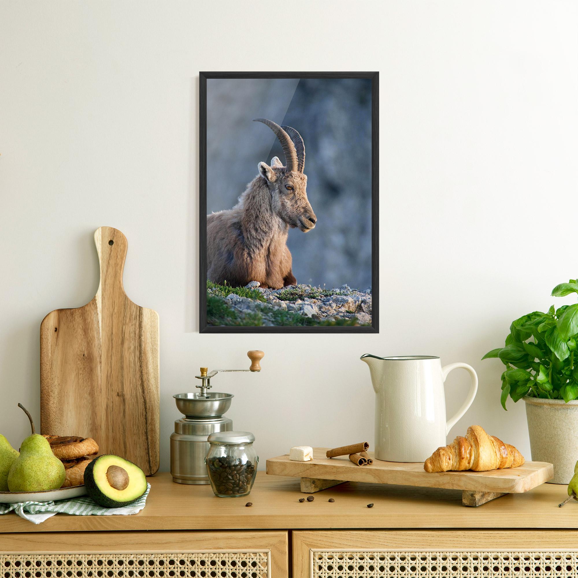Keretezett Poszter Mountain Goat mockup 8