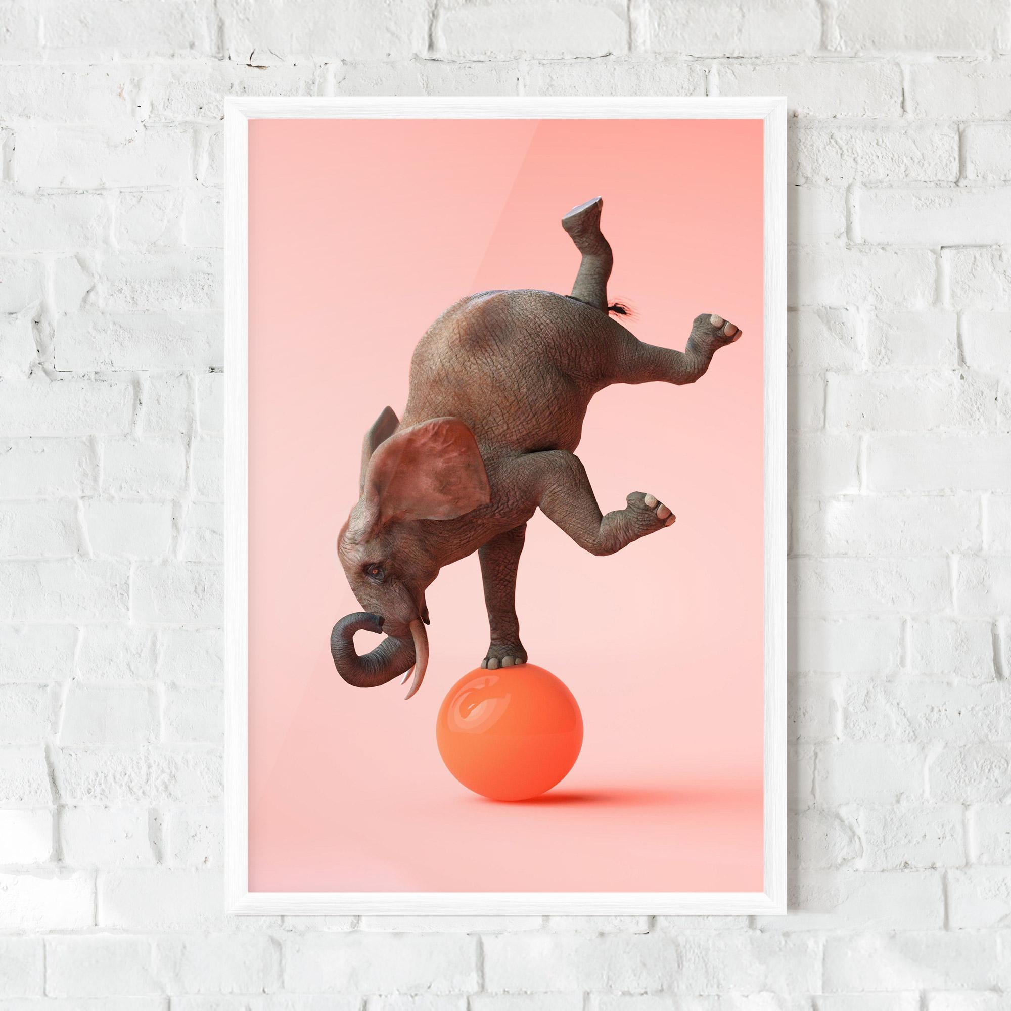 Keretezett Poszter Ball Elephant mockup 0