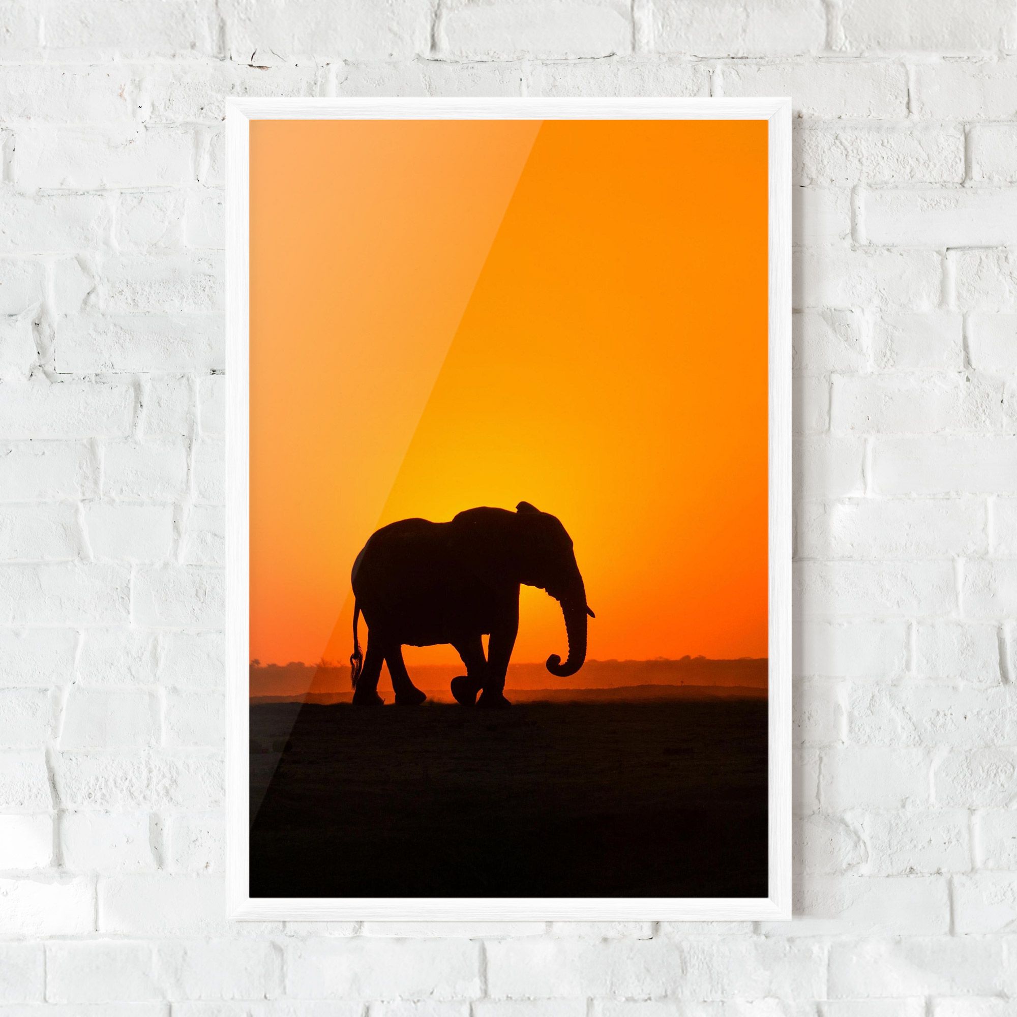 Beautiful Elephant mockup 0