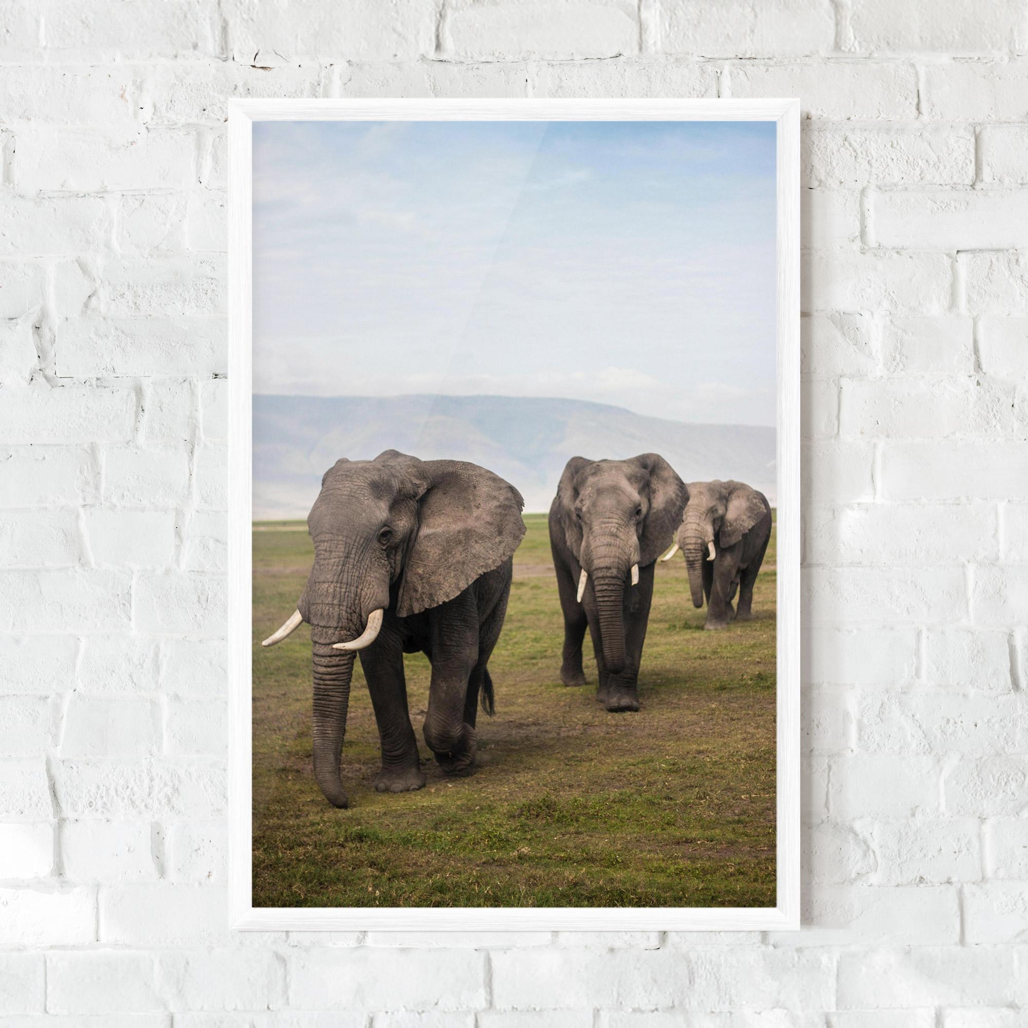 Keretezett Poszter Elephant Landscape mockup 0