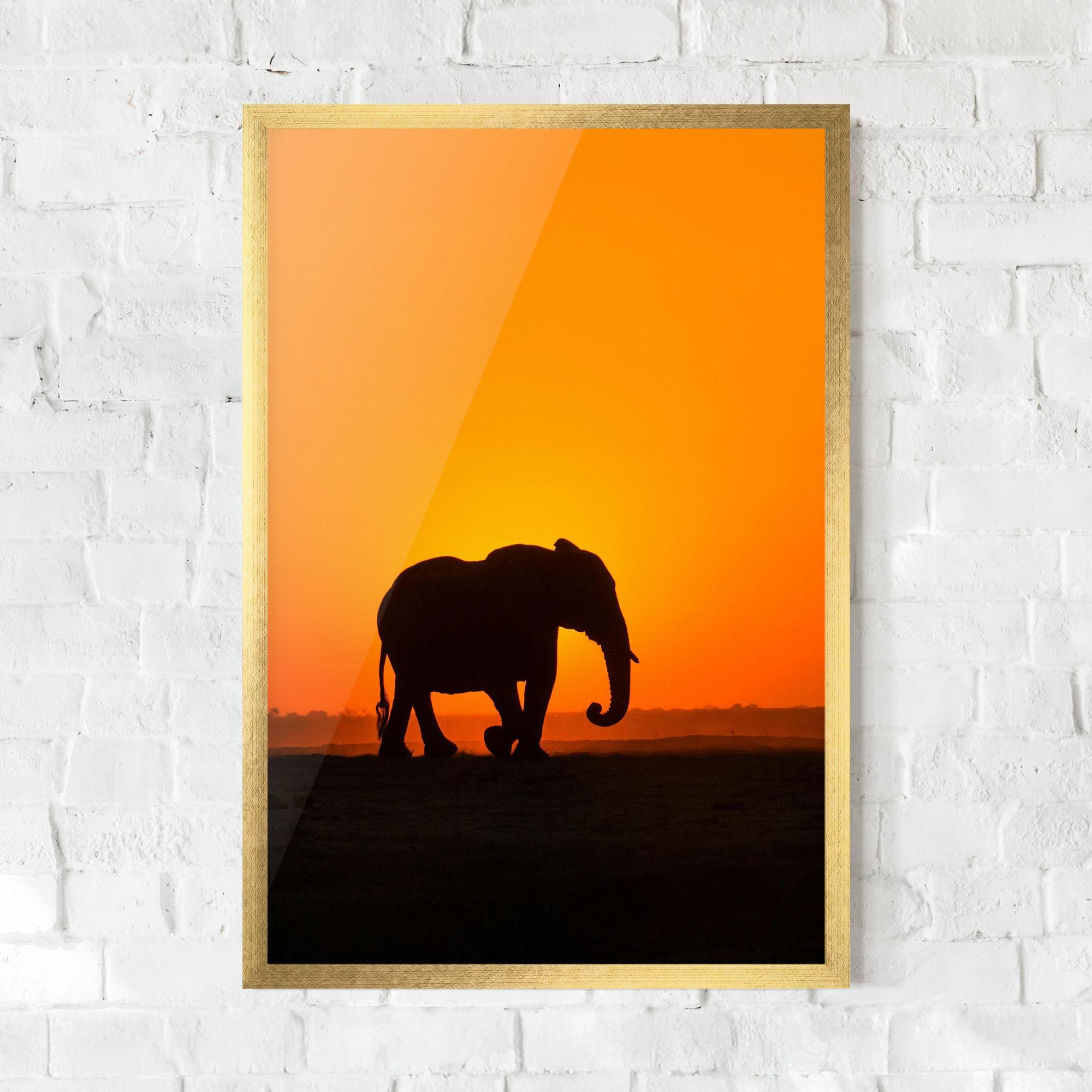 Keretezett Poszter Beautiful Elephant mockup 0