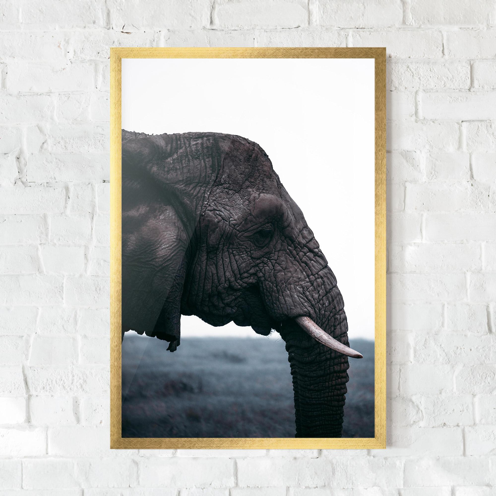 Keretezett Poszter Close Grey Eelephant mockup 0