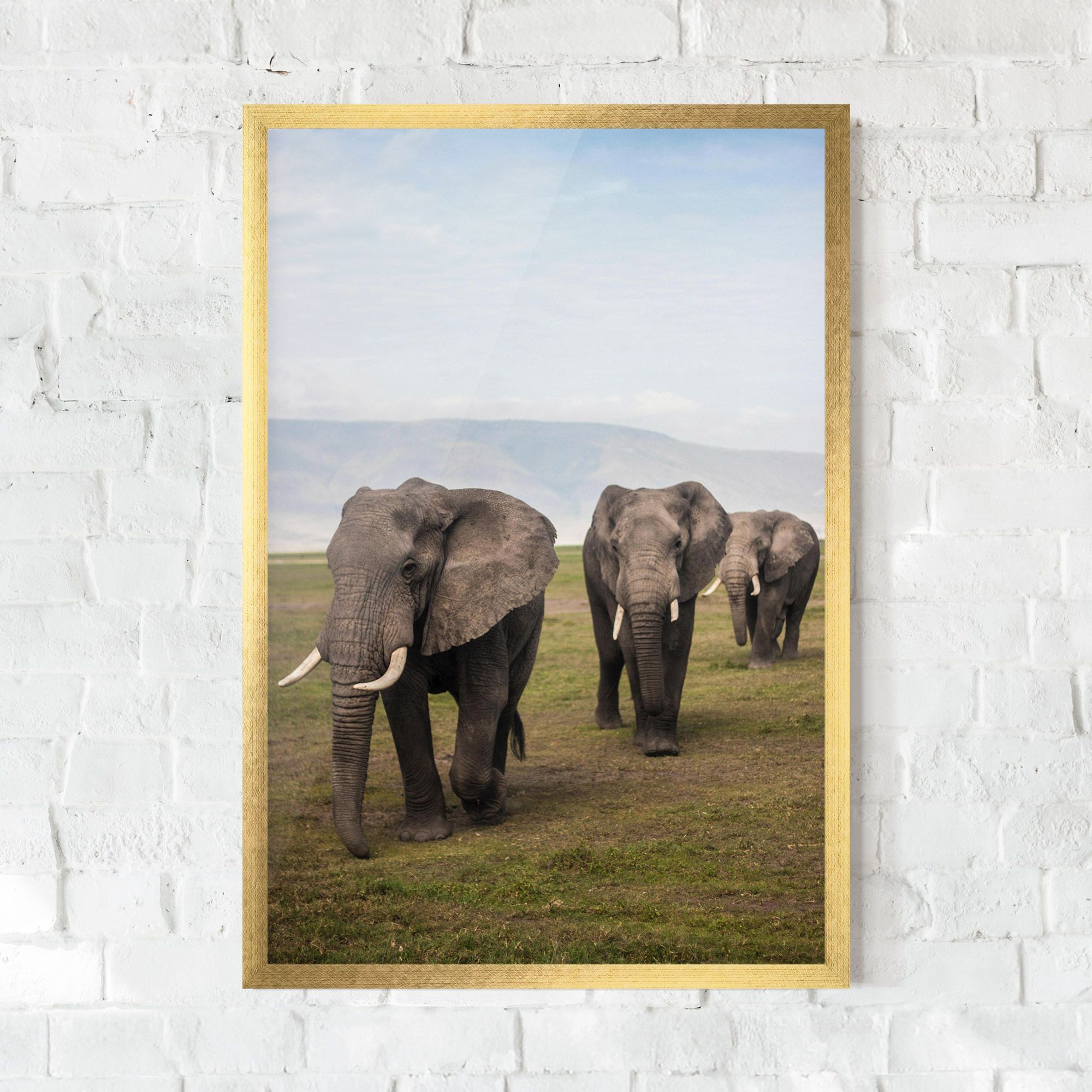 Elephant Landscape mockup 0