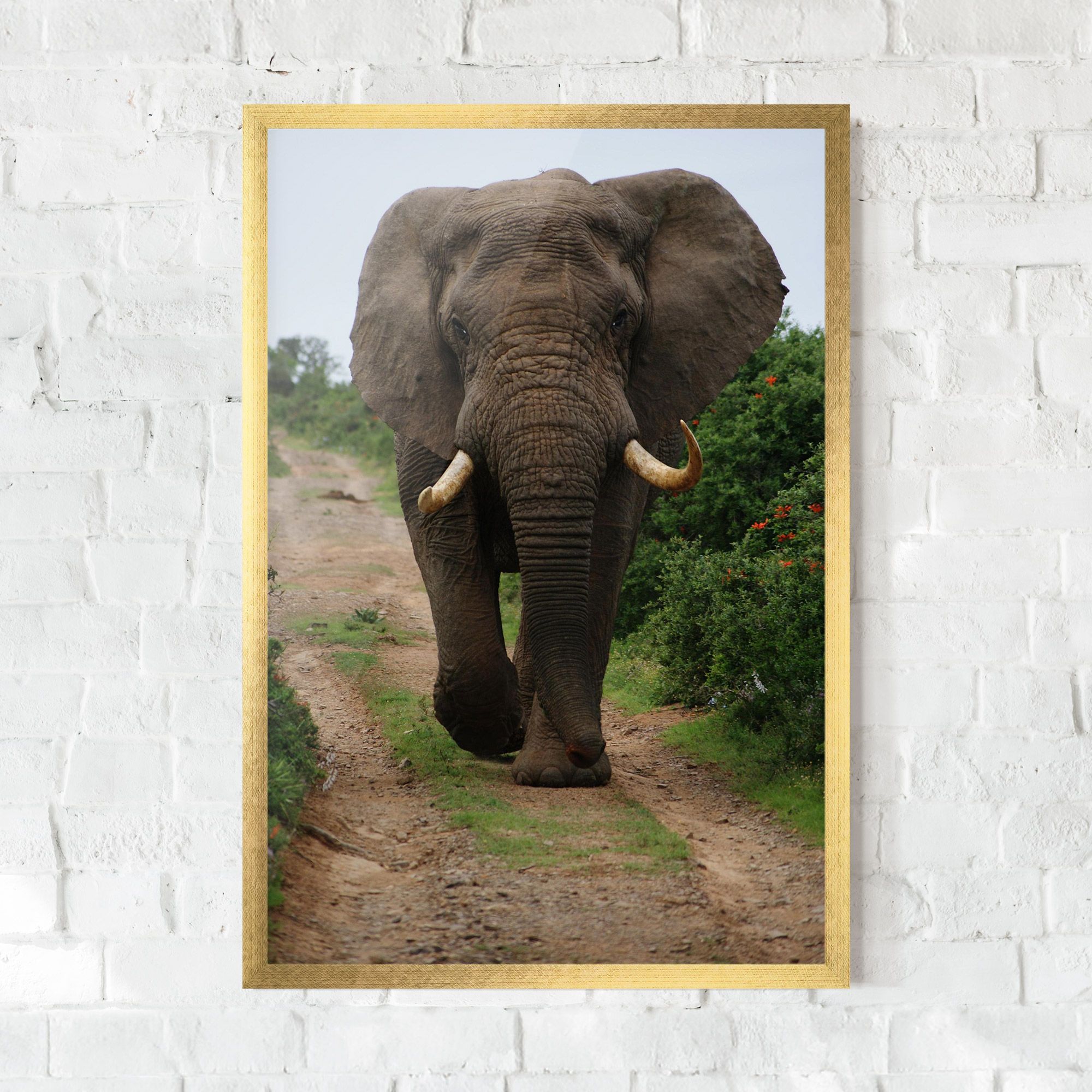 Elephant Safari mockup 0