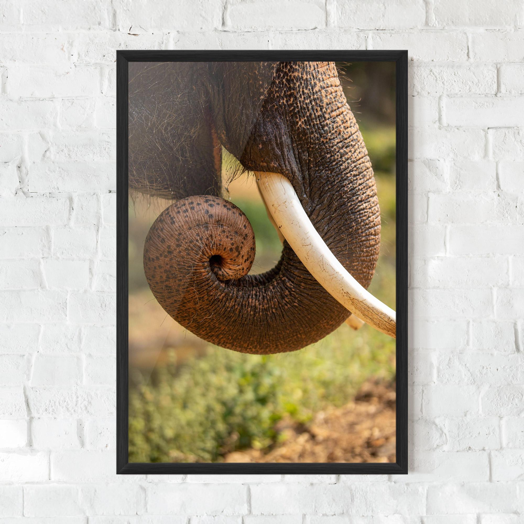 Keretezett Poszter Elephant Mouth Close Up mockup 0
