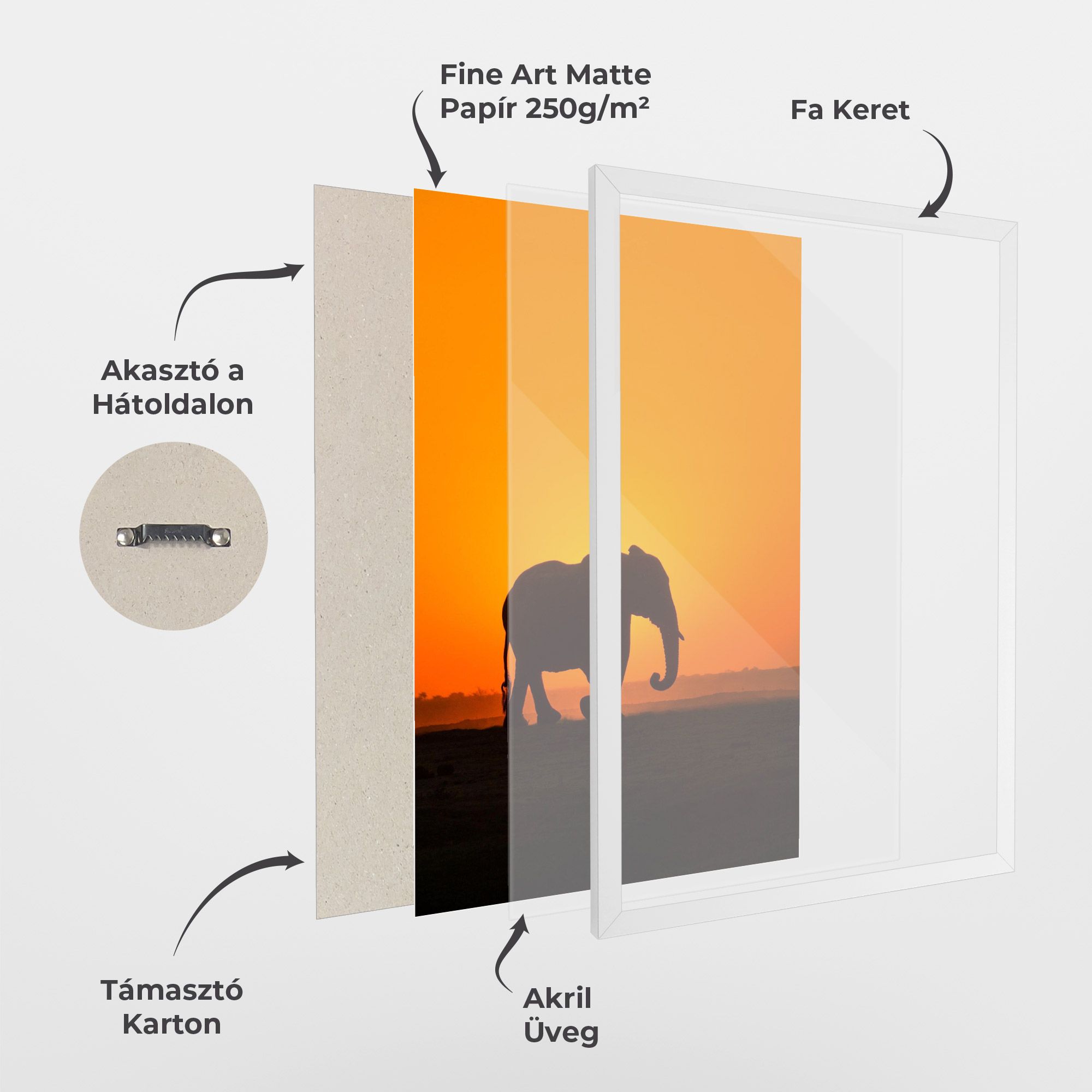 Beautiful Elephant mockup 1