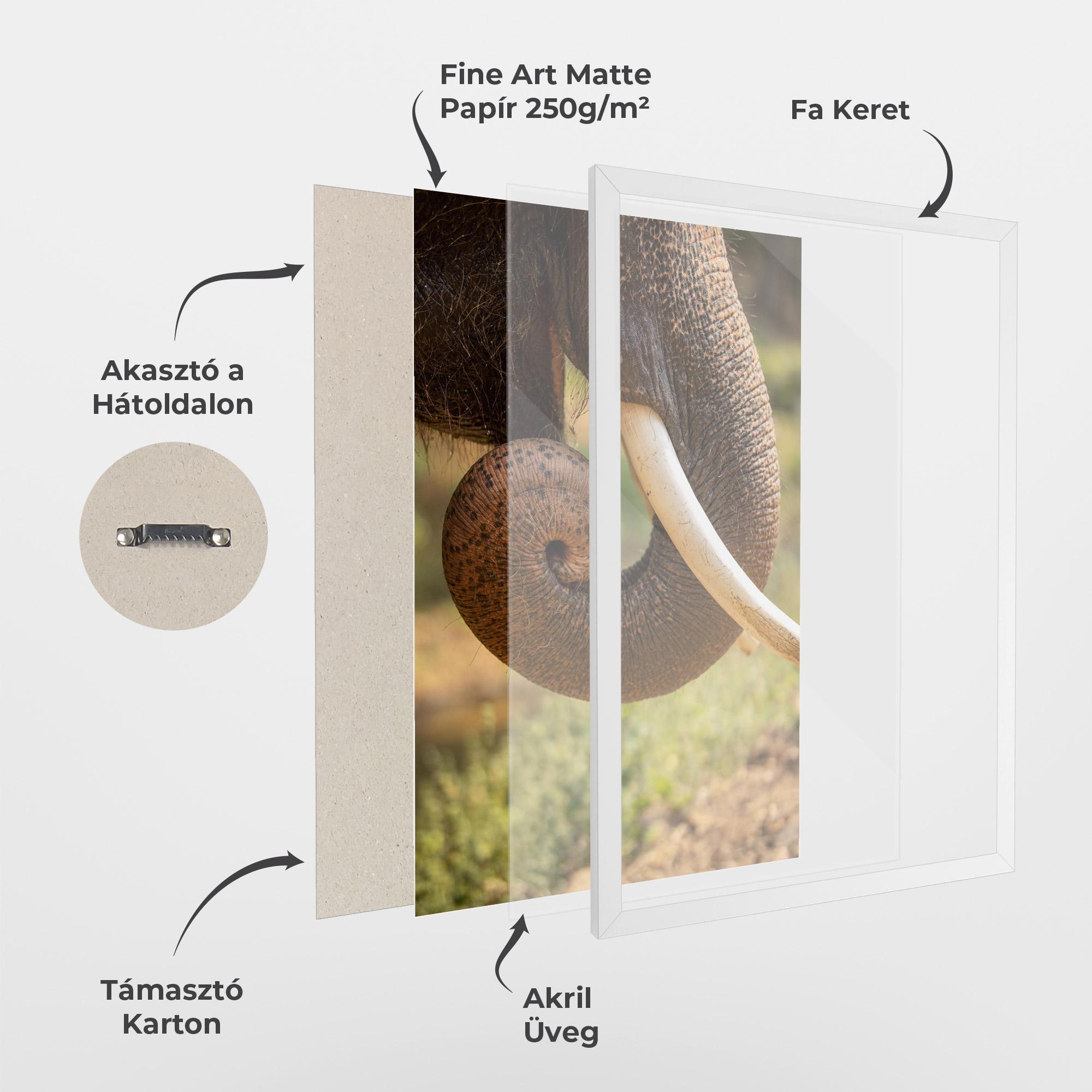 Keretezett Poszter Elephant Mouth Close Up mockup 1