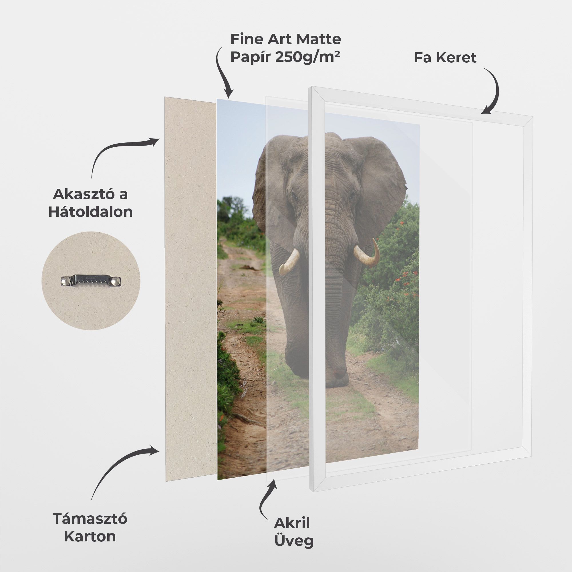 Elephant Safari mockup 1
