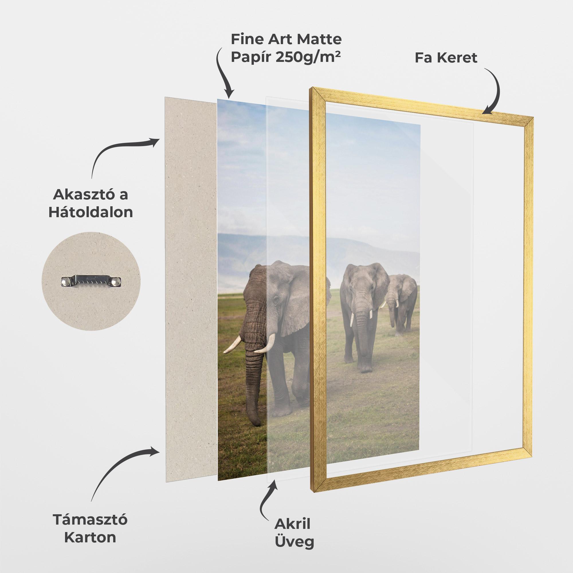 Keretezett Poszter Elephant Landscape mockup 1