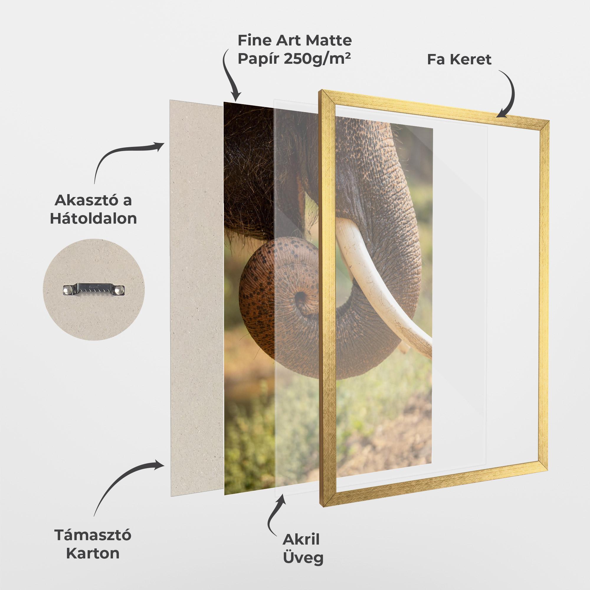 Keretezett Poszter Elephant Mouth Close Up mockup 1