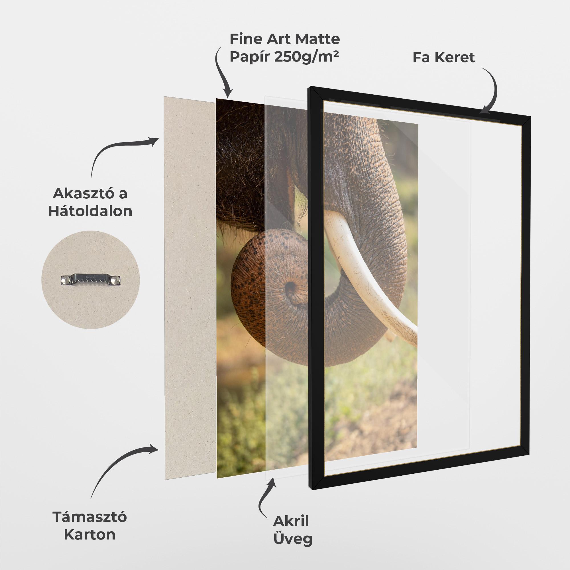 Keretezett Poszter Elephant Mouth Close Up mockup 1